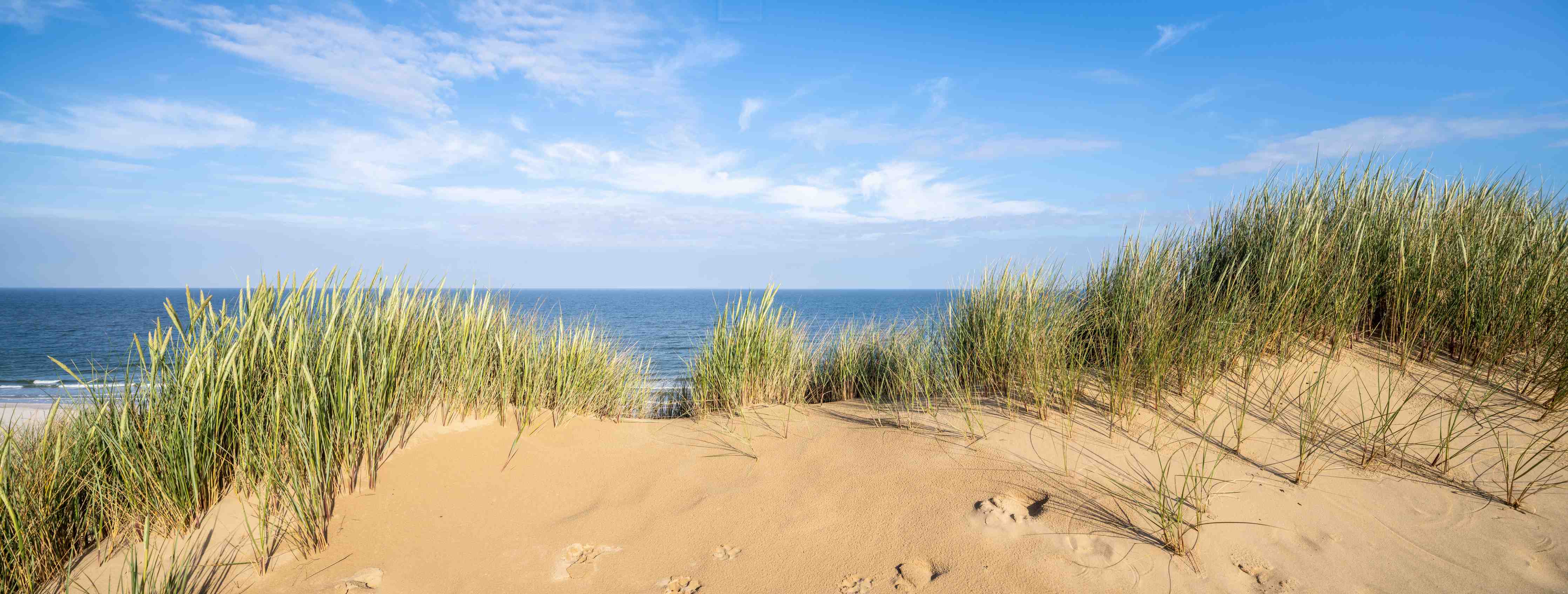 Wandverkleidung Bad-Strand mit Sanddünen und Meeresblick