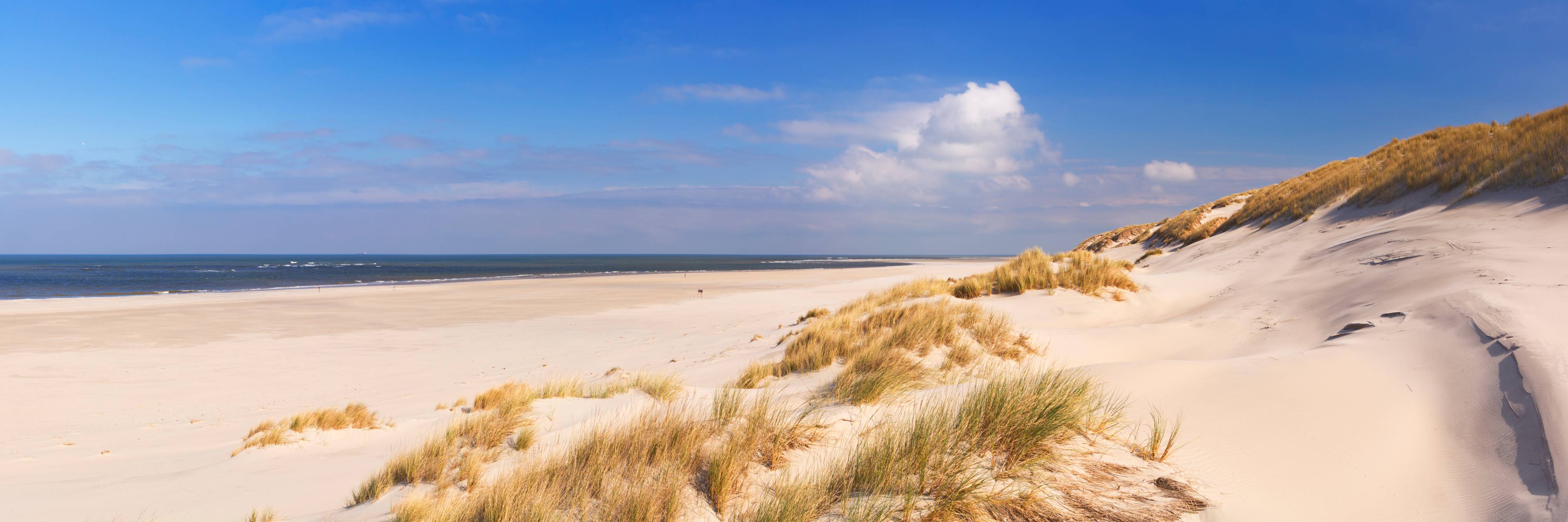 Wandverkleidung Bad-Strandlandschaft mit Sanddünen und Meer im Sonnenlicht