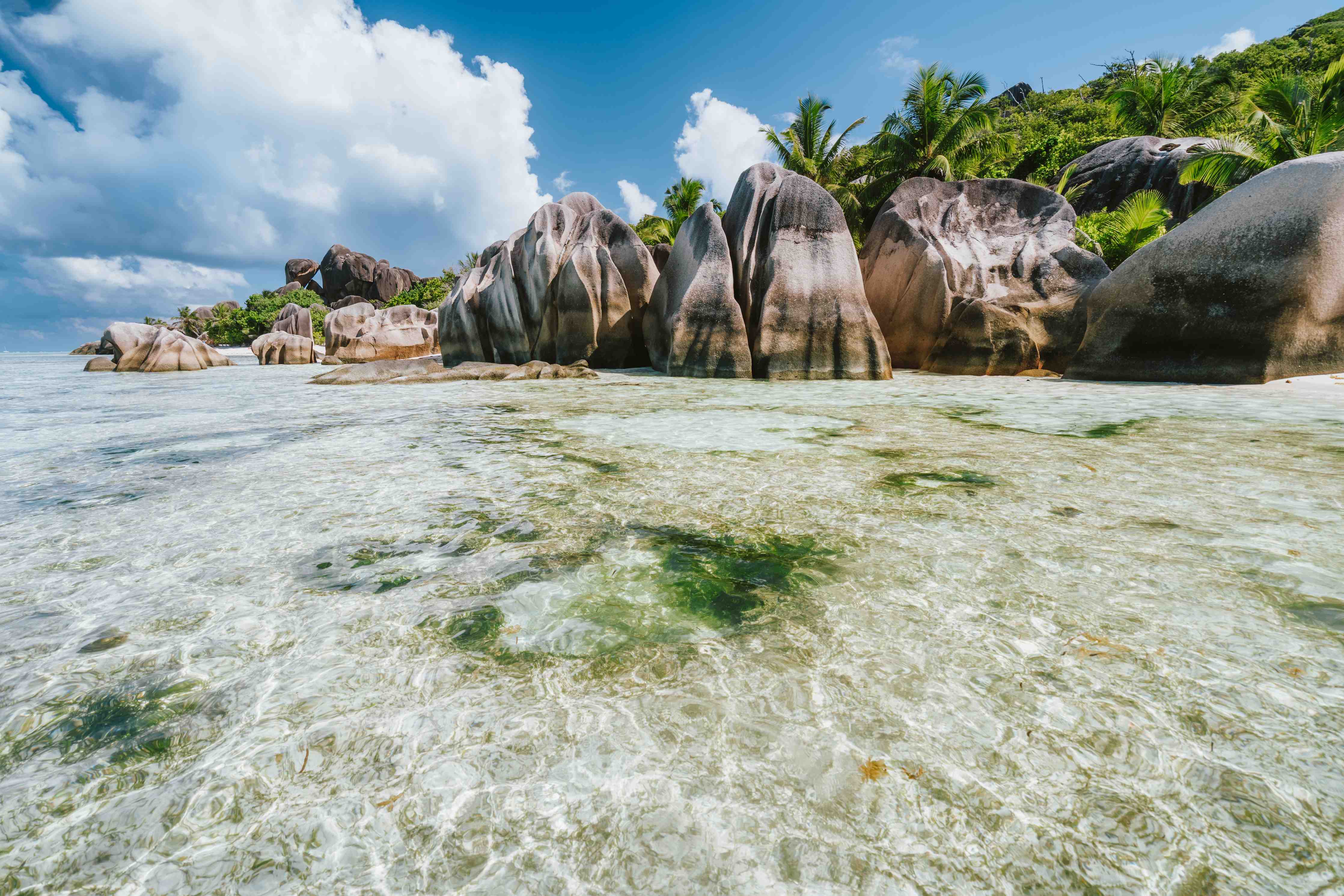 Wandverkleidung Bad-Tropische Strandkulisse mit Felsen und Palmen