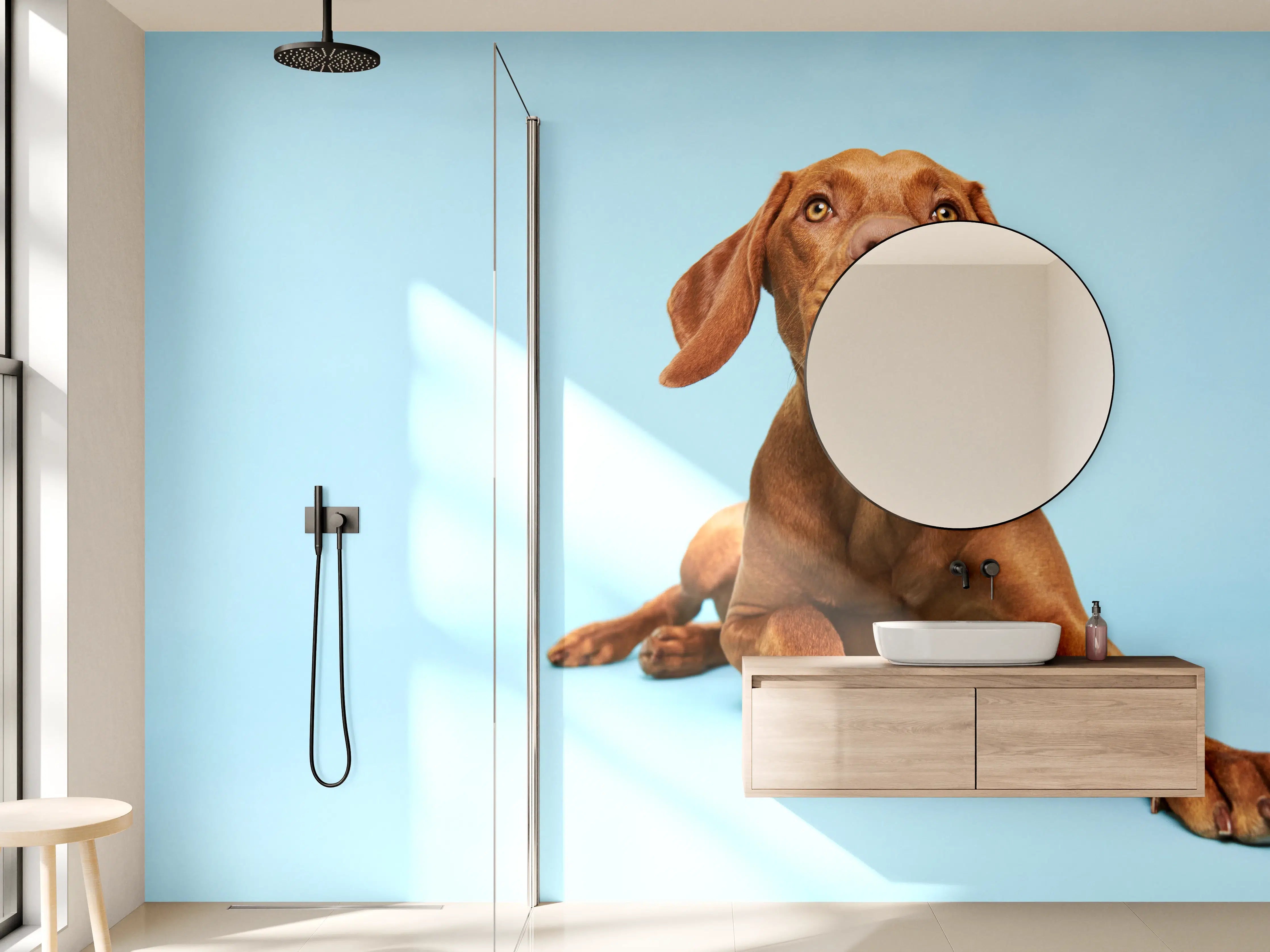 Wandverkleidung Bad - Ungarischer Vizsla-Welpe Portrait