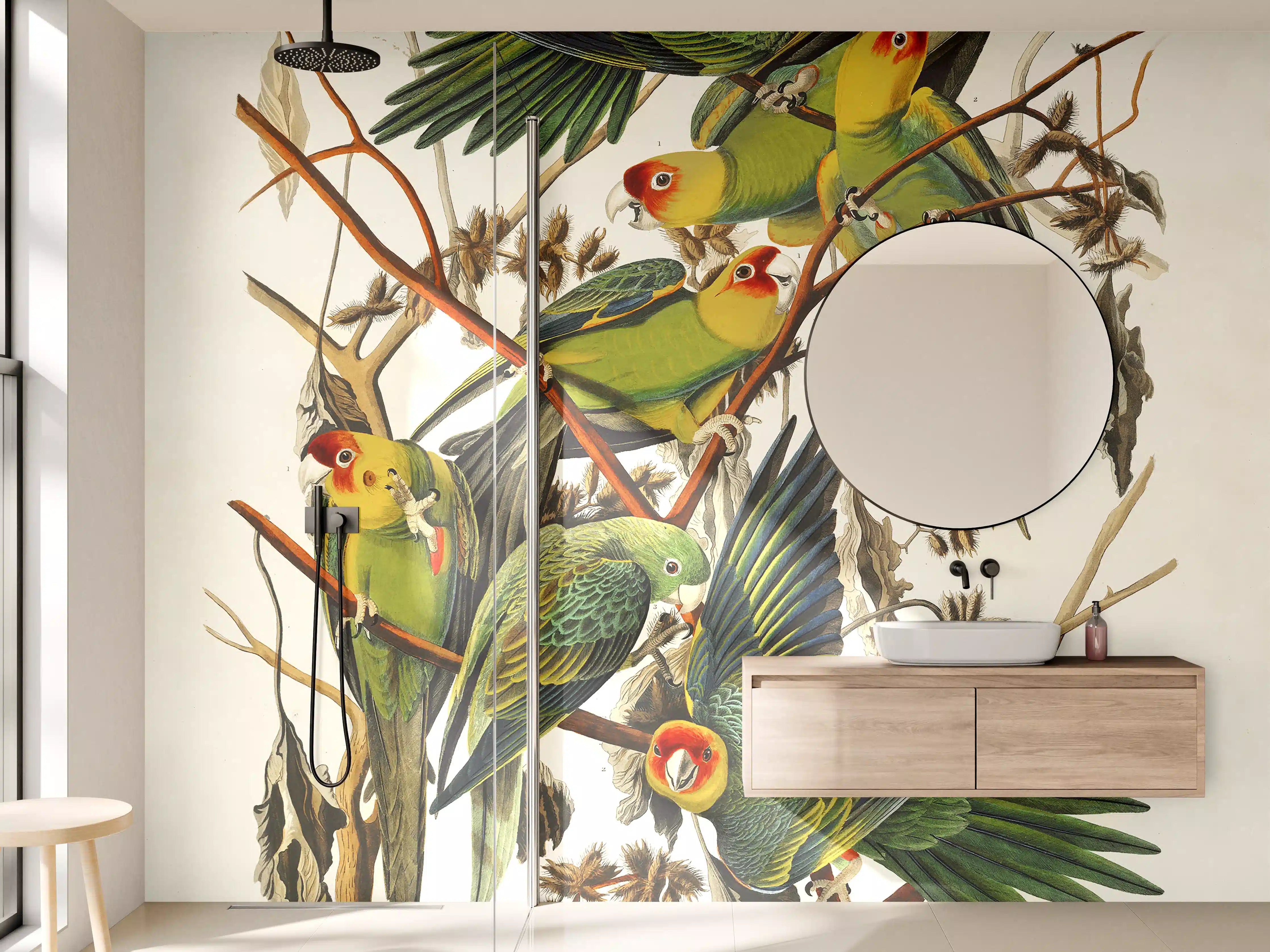 Wandverkleidung Bad - Vogel Portait - Robert Havell 