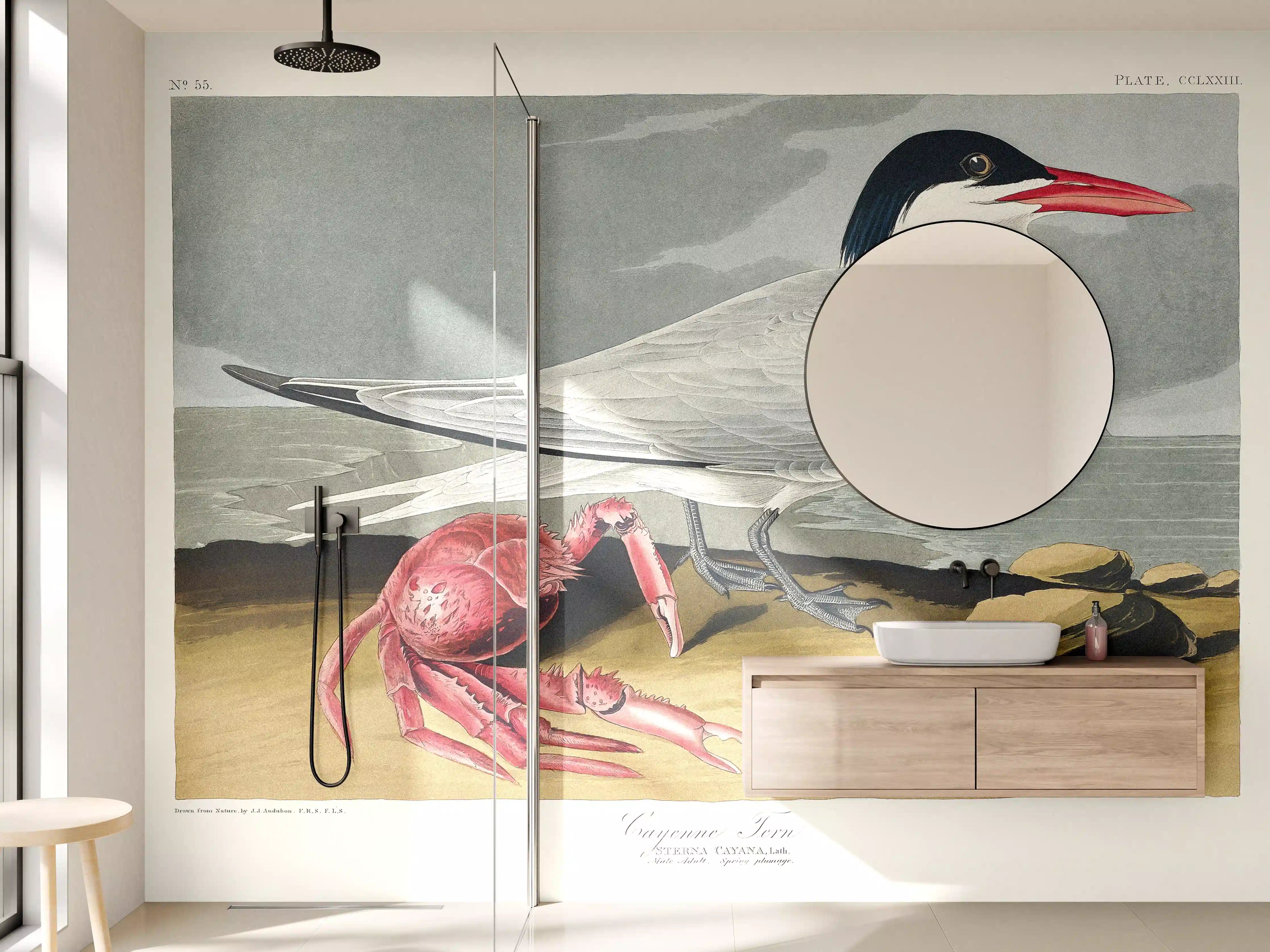 Wandverkleidung Bad - Vogel Portrait - Robert Havell