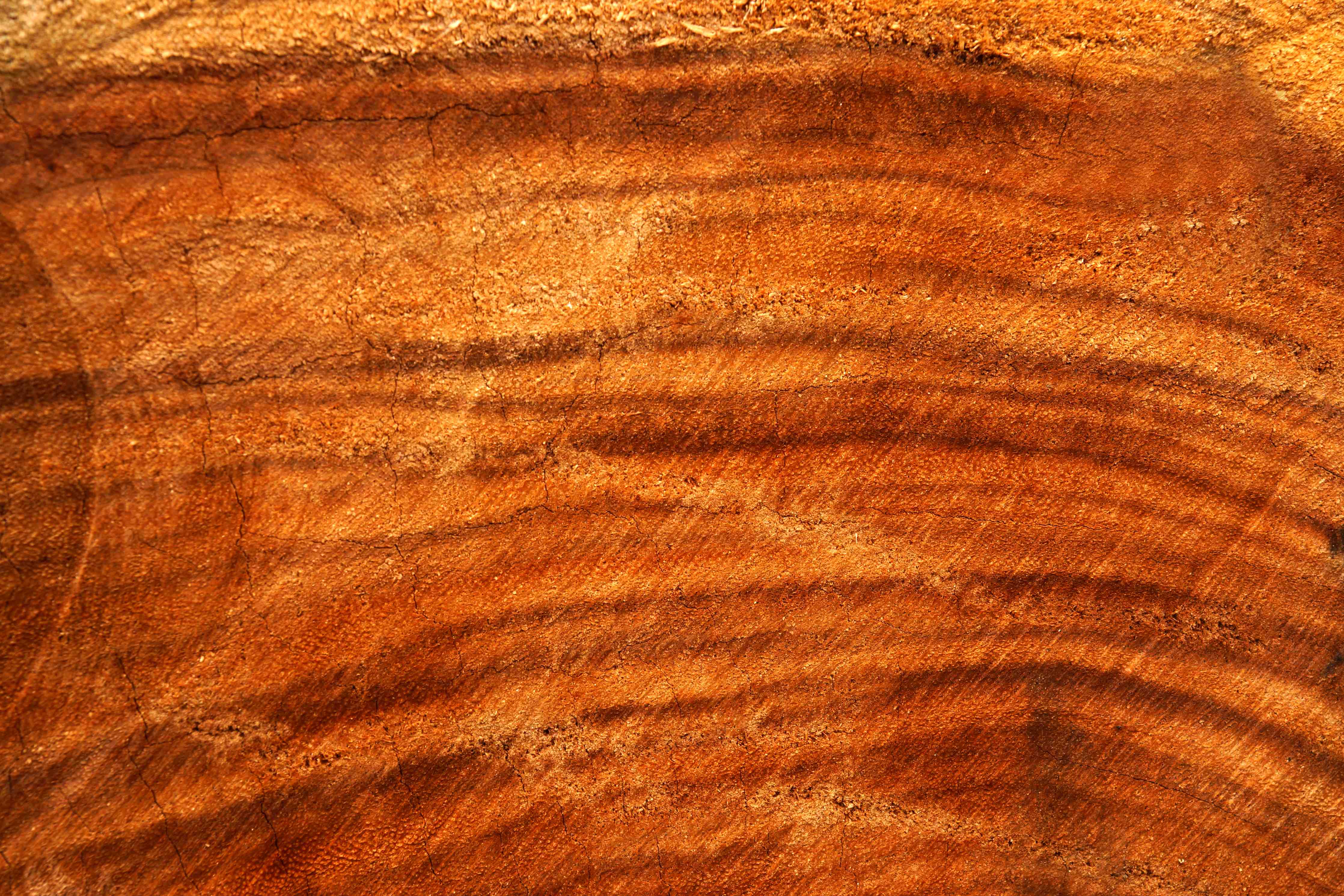 Wandverkleidung Bad-Warme Holzmaserung mit Röt spansichen Tönen