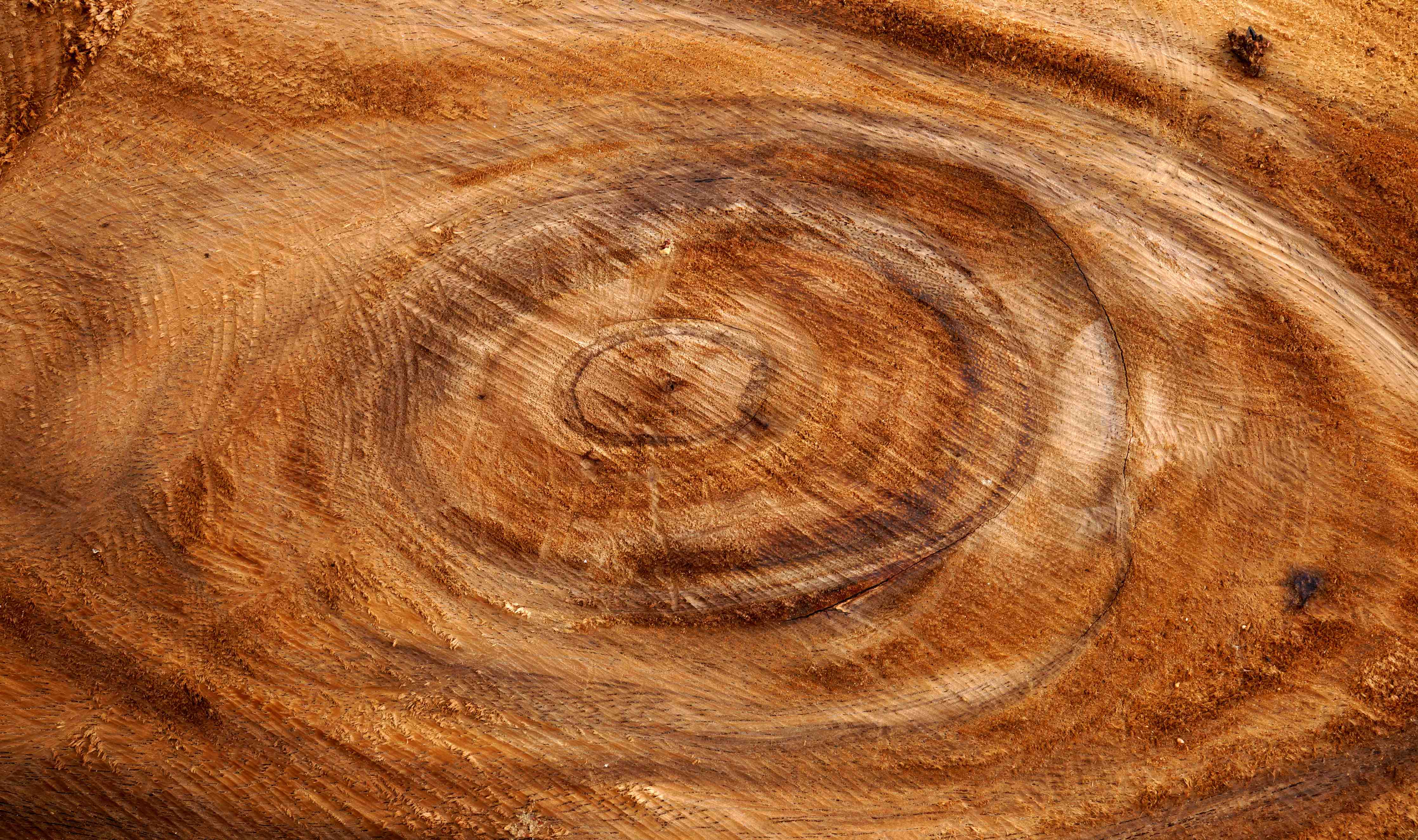 Wandverkleidung Bad-Warme Holzmaserung mit natürlichen Texturen