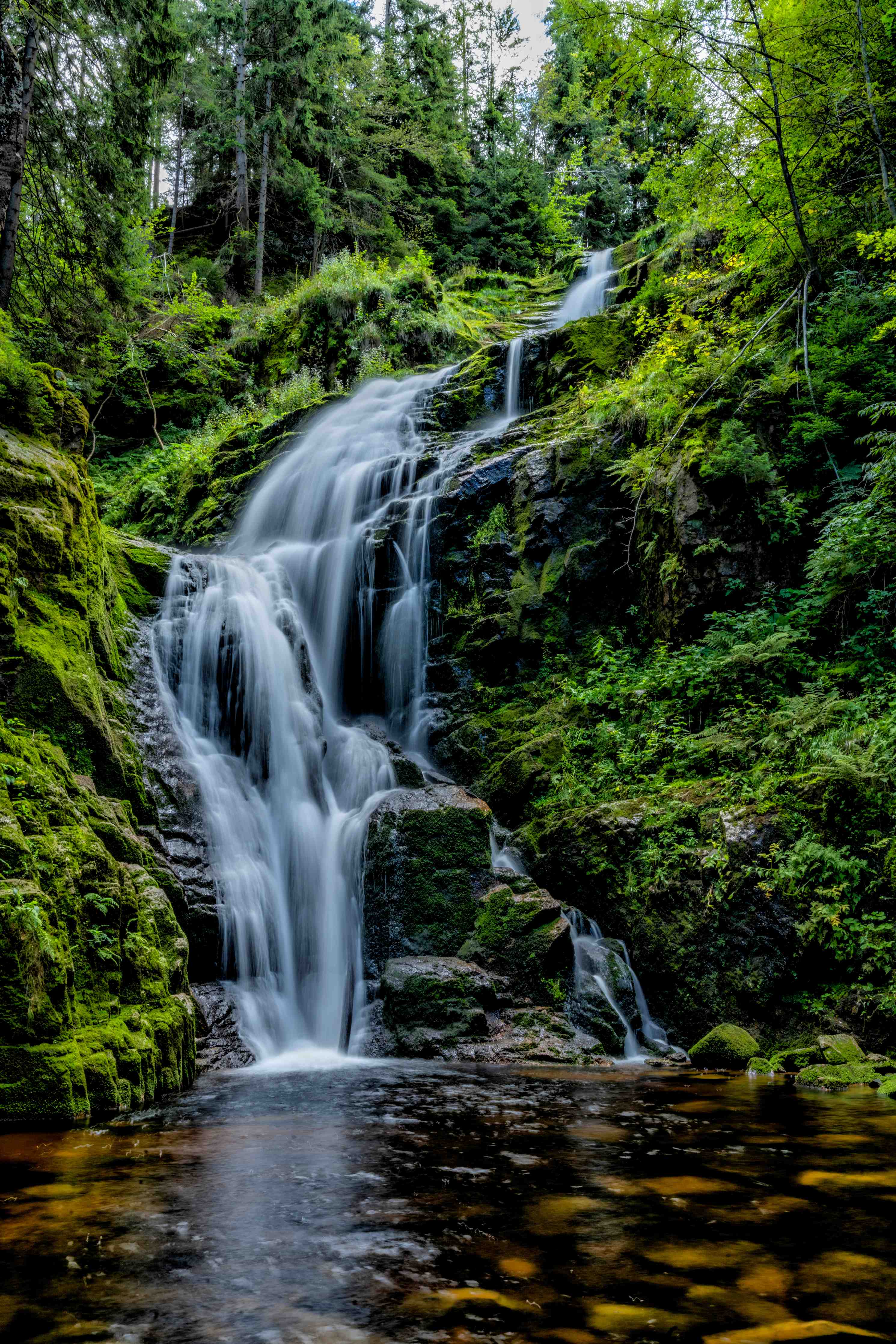 Wandverkleidung Bad-Wasserfall in tiefem Grün