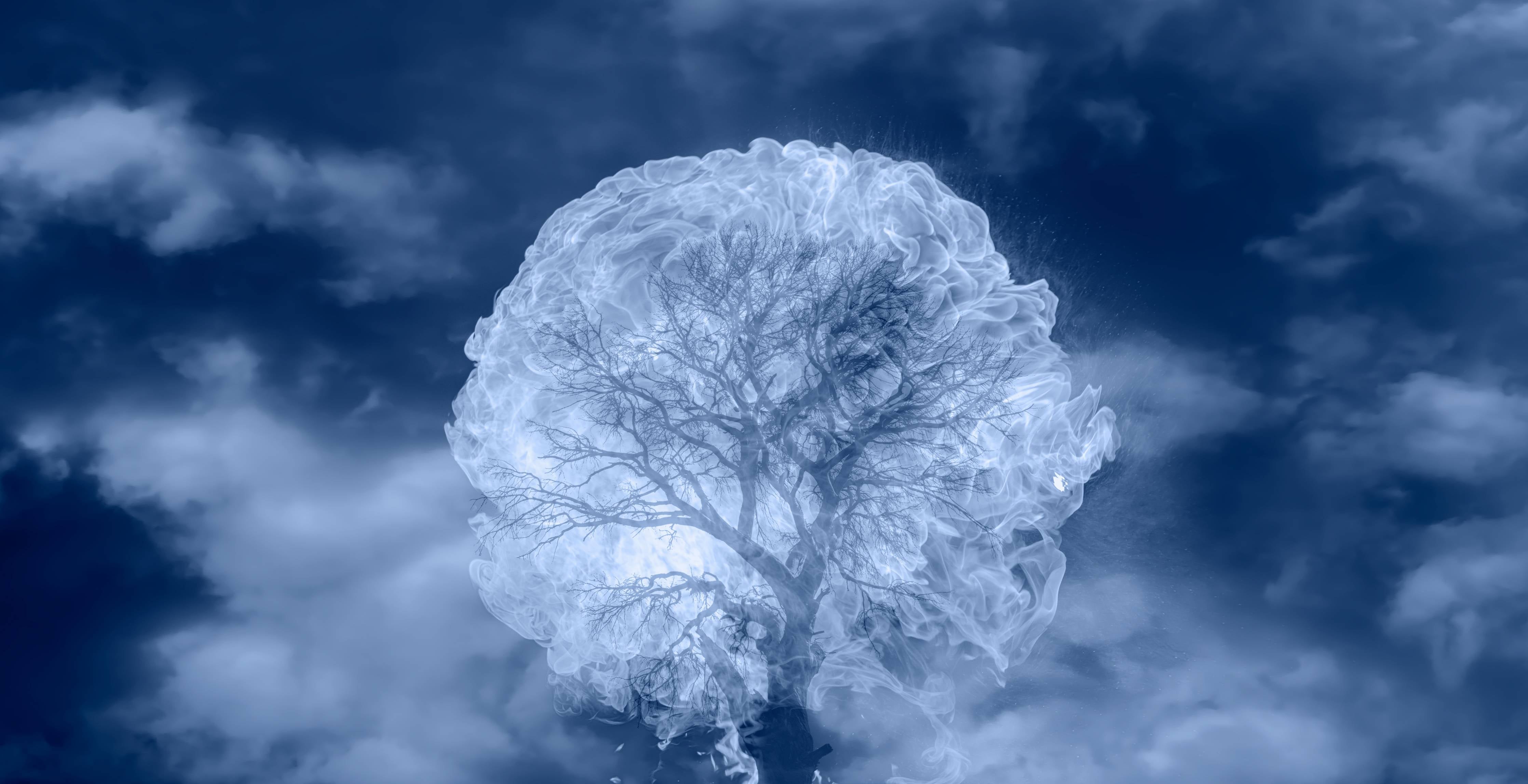 Wandverkleidung Bad-Weiß-Blauer Feuerbaum Himmel