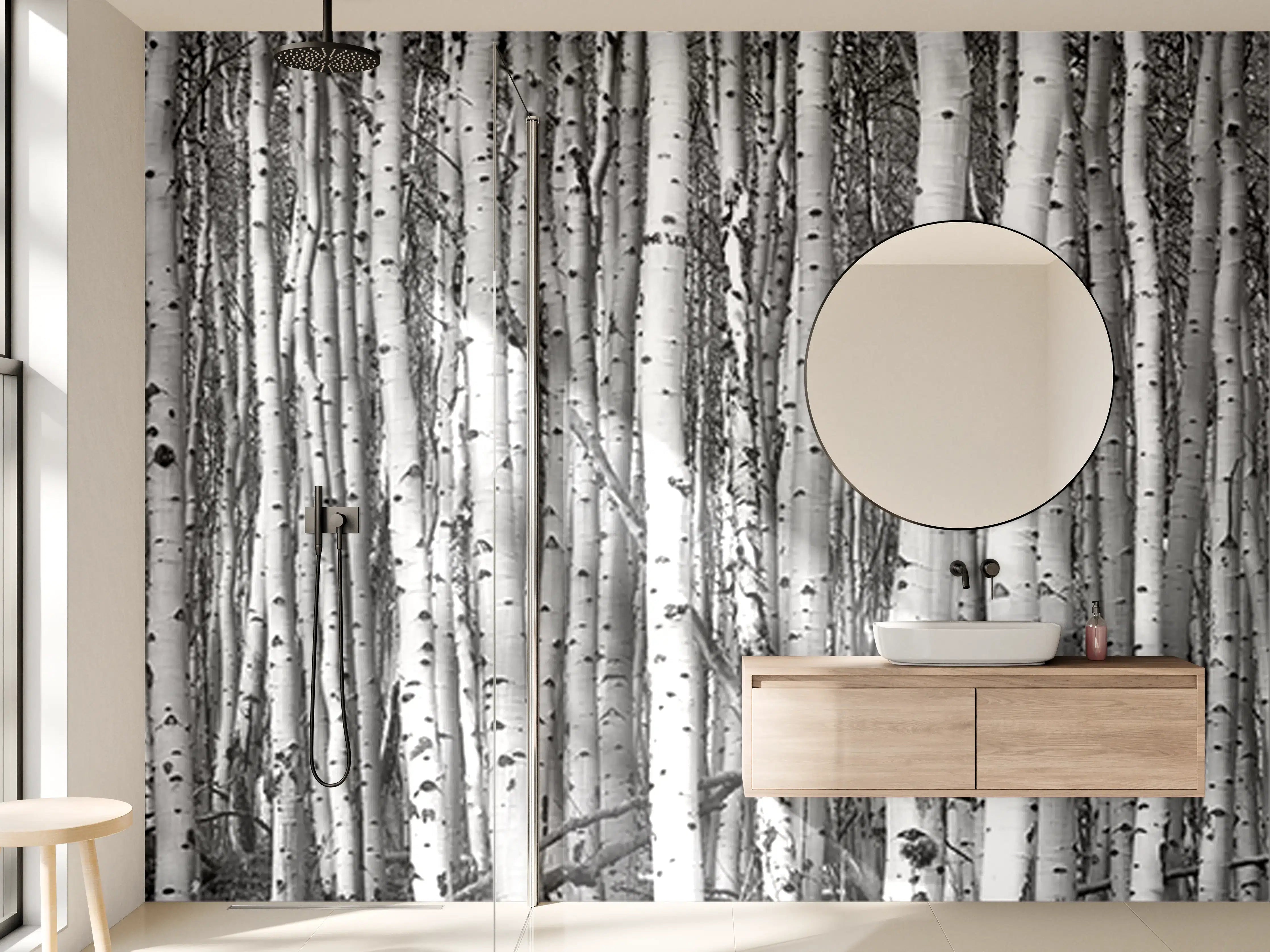 Wandverkleidung Bad - Weiße Birken im Wald, Schwarz-Weiß-Optik