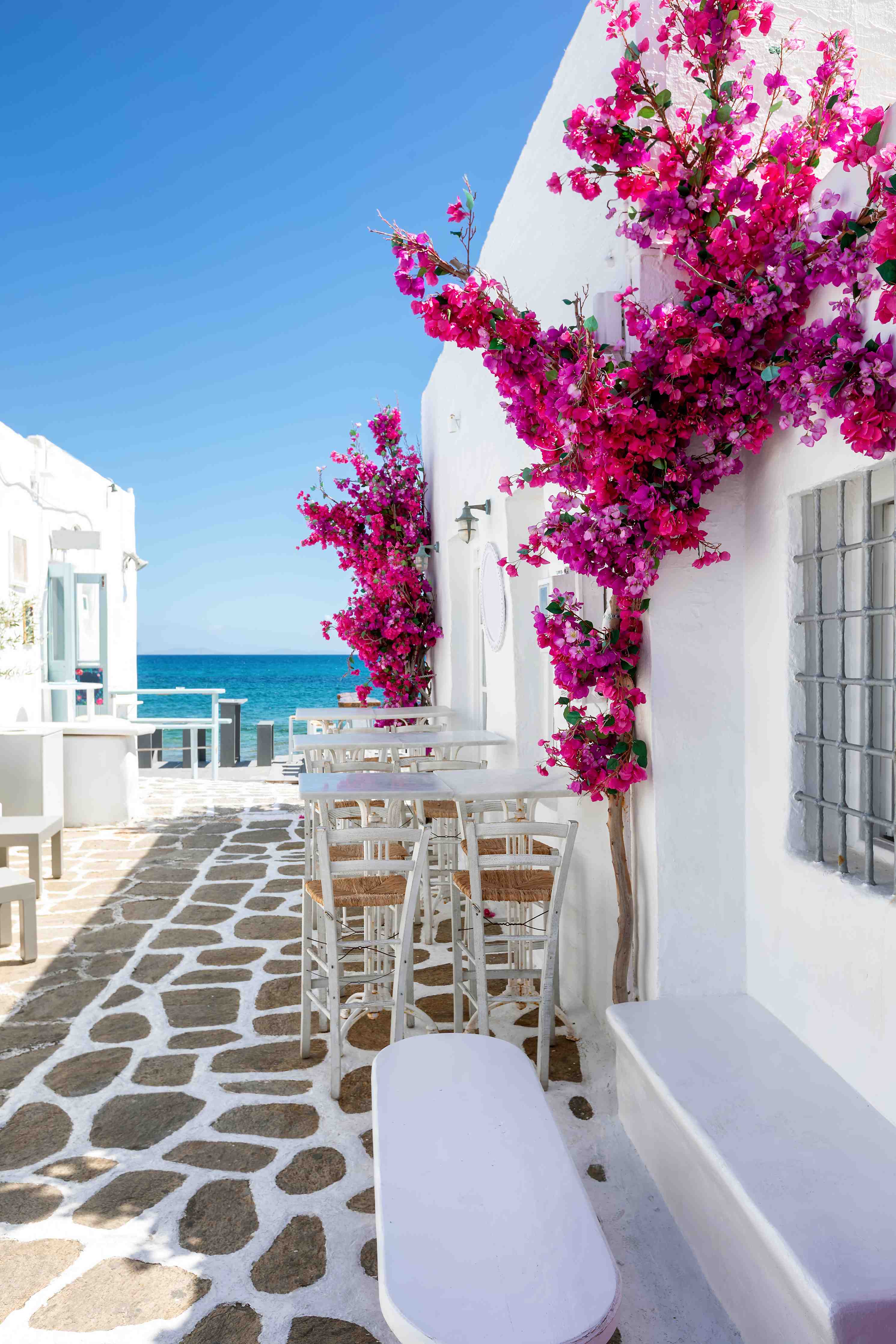Wandverkleidung Bad-Weiße Gasse mit Oleander Blumen in Mykonos