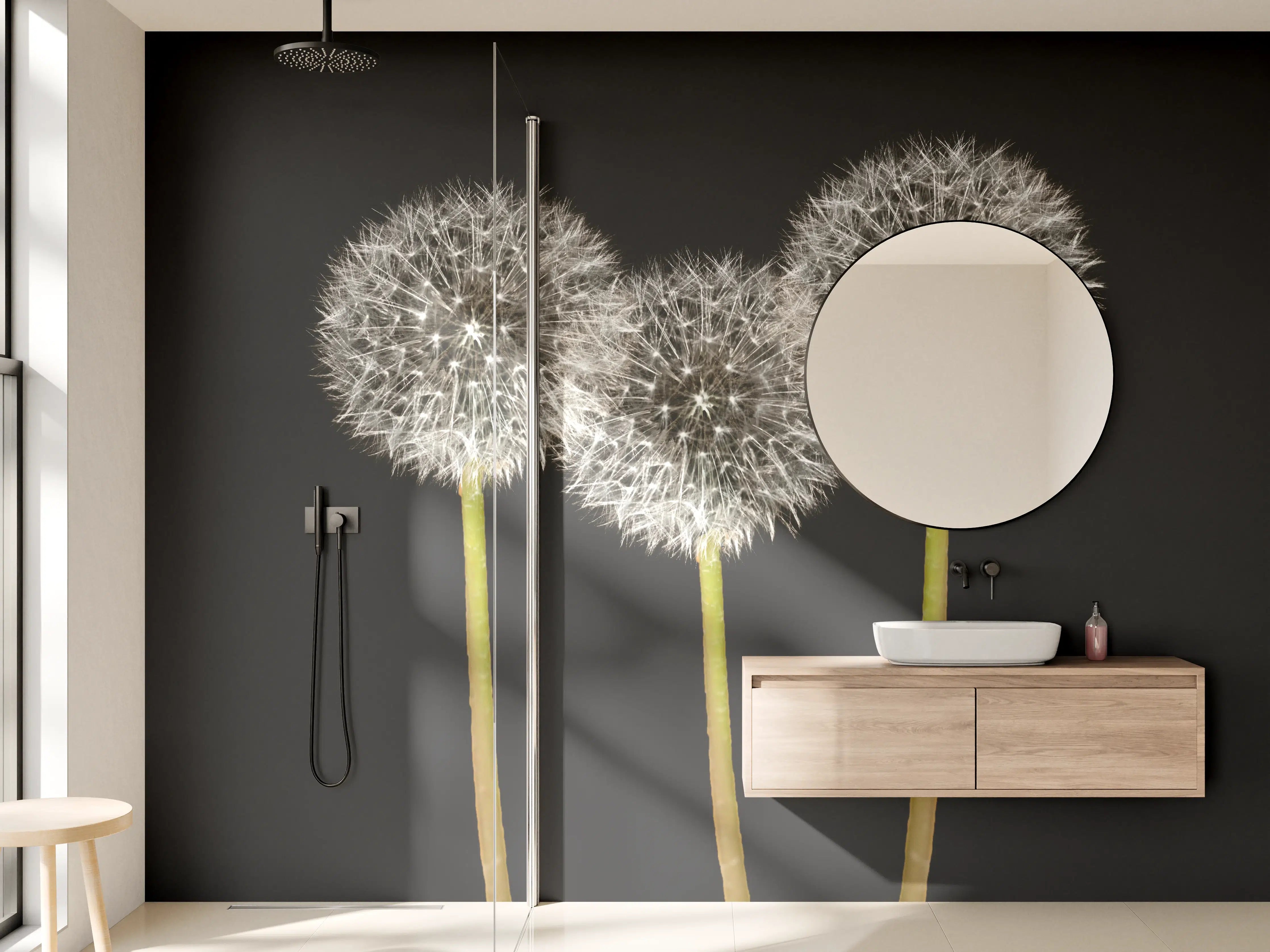 Wandverkleidung Bad - Weiße Pusteblumen auf Schwarz