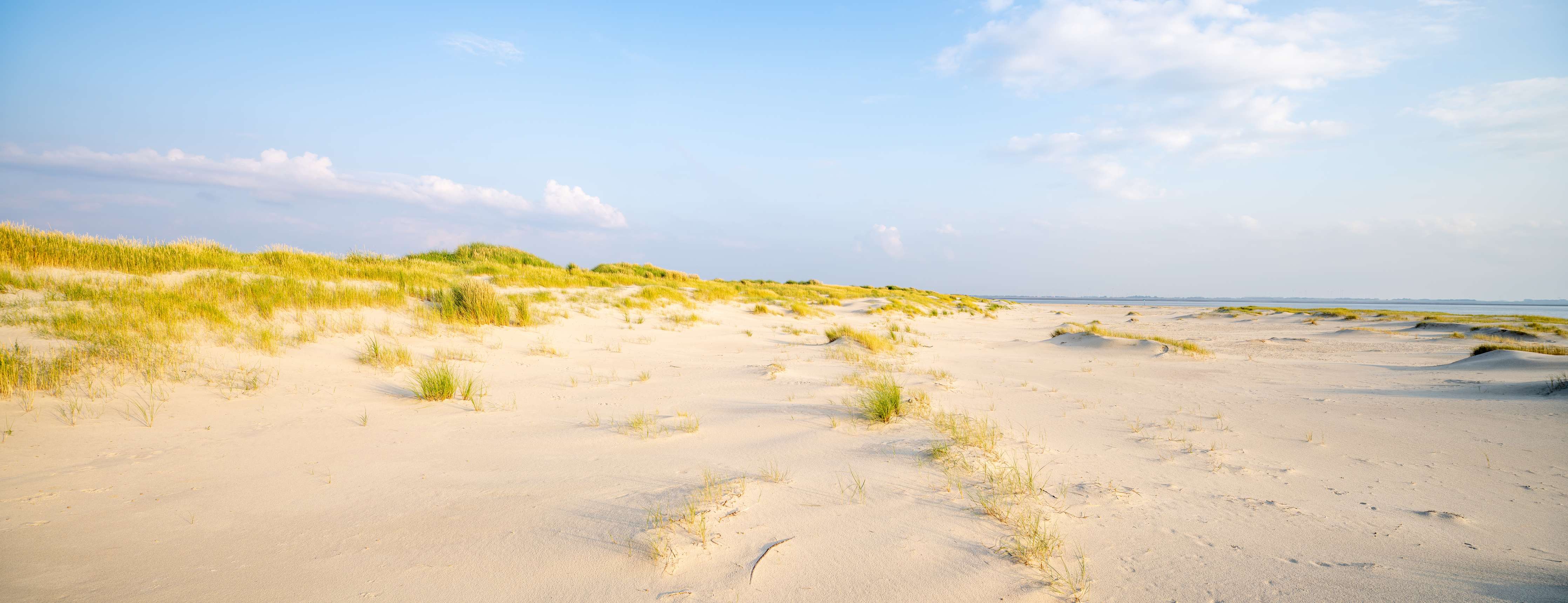 Wandverkleidung Bad-Weite Sanddünen unter blauem Himmel