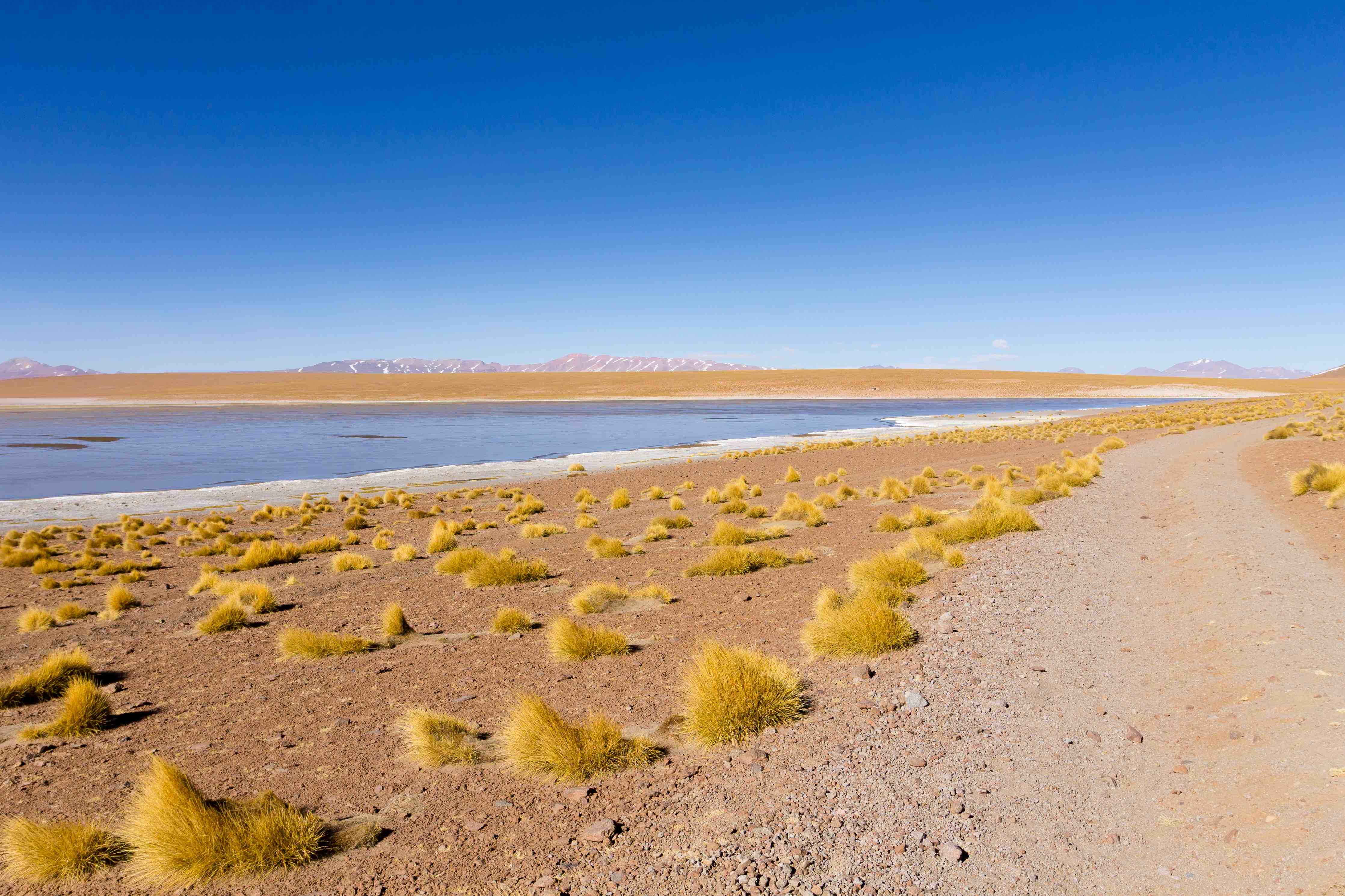 Wandverkleidung Bad-Wüstenlandschaft mit Salzsee und blauer Himmel