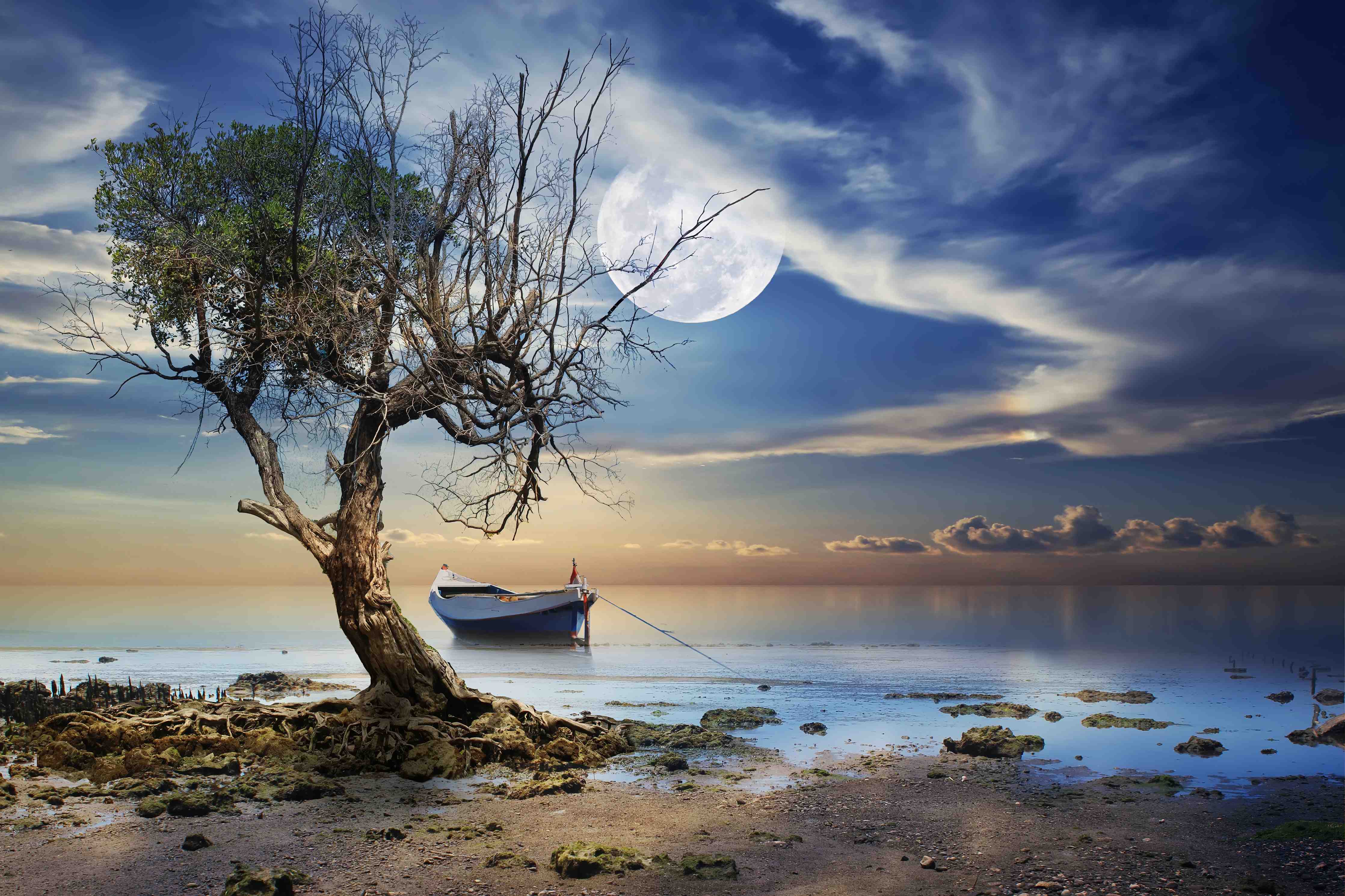 Wandverkleidung Flur-Abendliches Landschaftsbild mit Boot und Baum