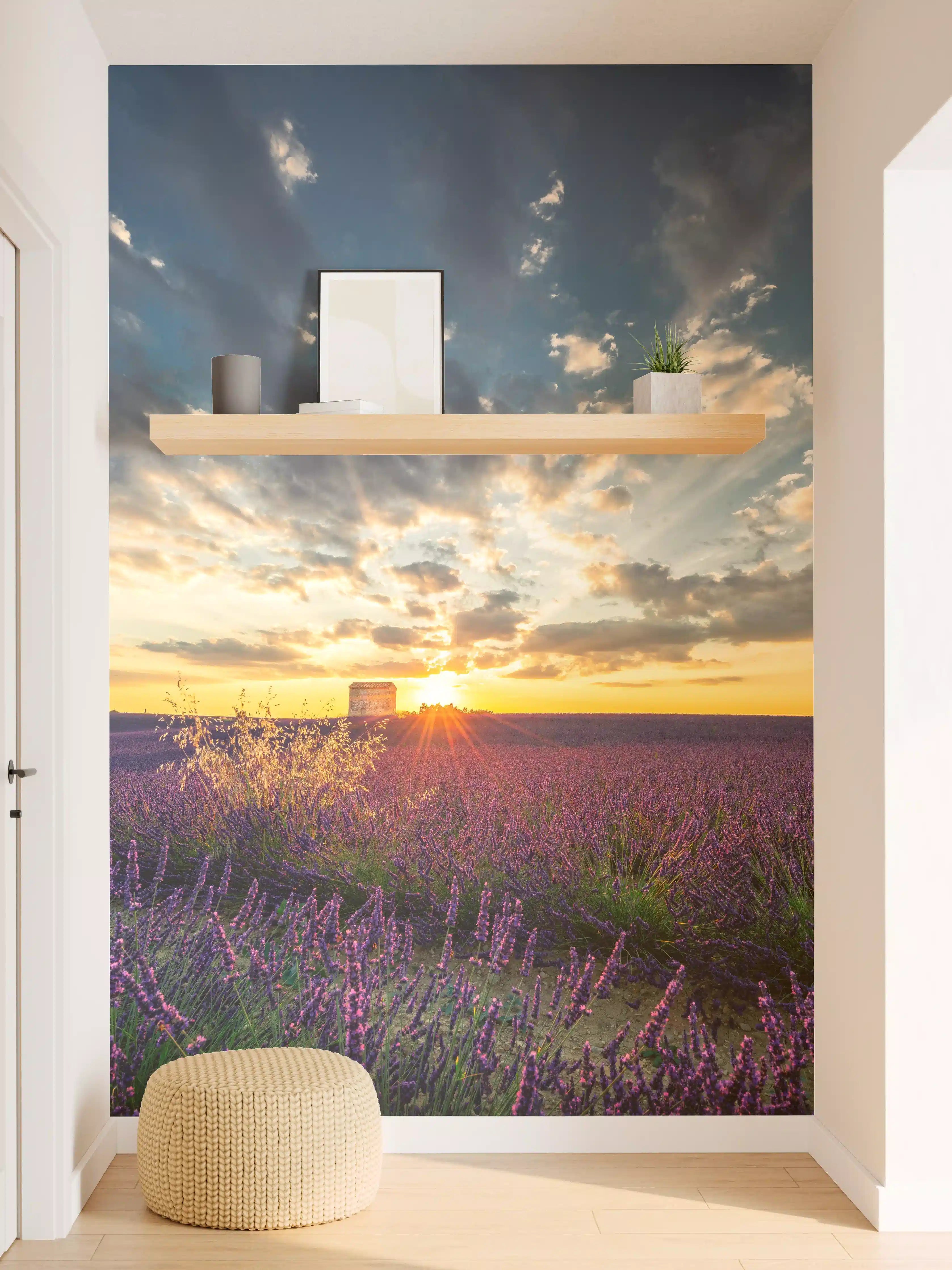 Wandverkleidung Flur - Abendstimmung über Lavendelfeldern bei Sonnenuntergang