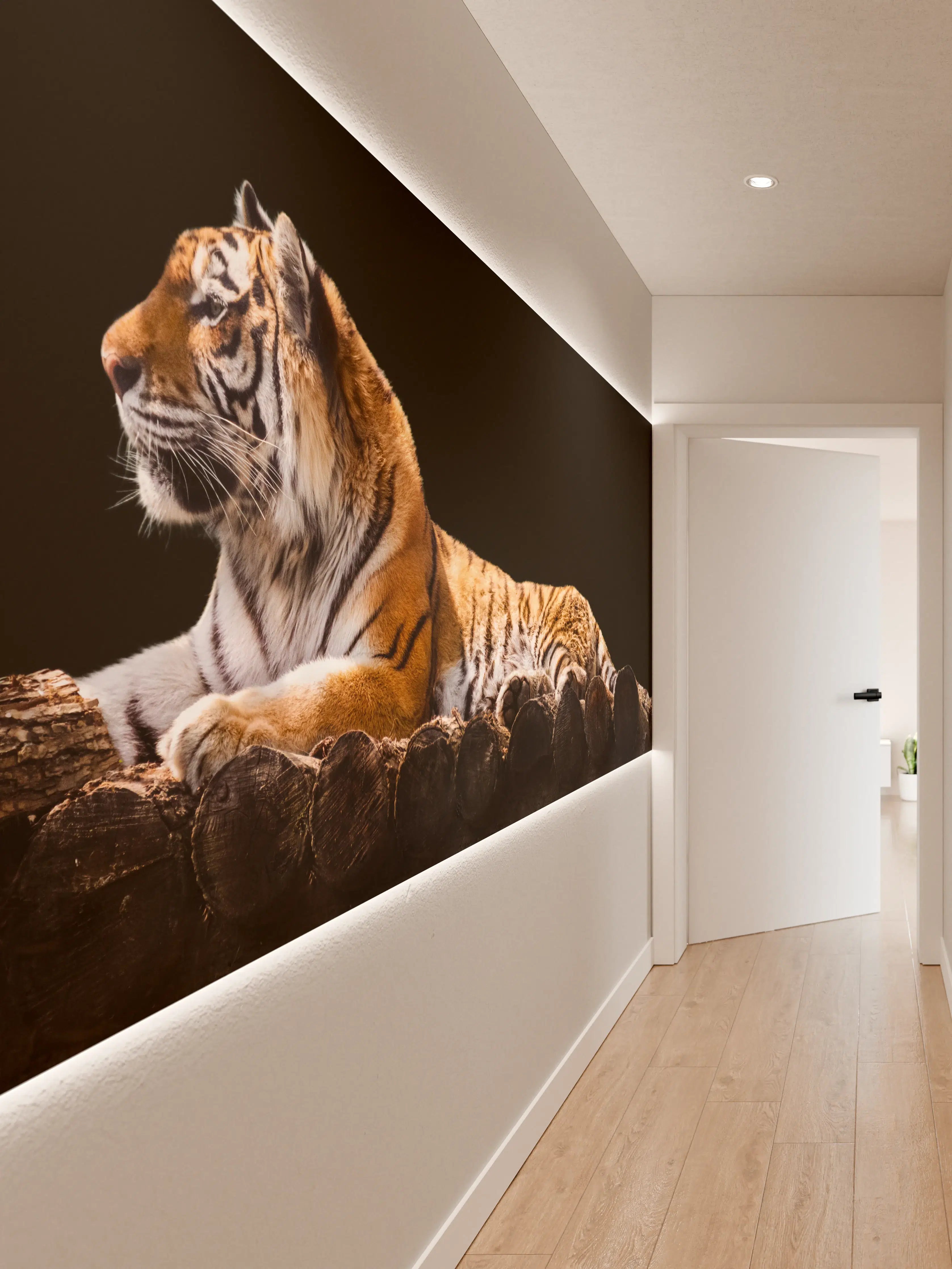Wandverkleidung Flur - Amurtiger liegend auf Holzdeck mit Schwarzem Hintergrund