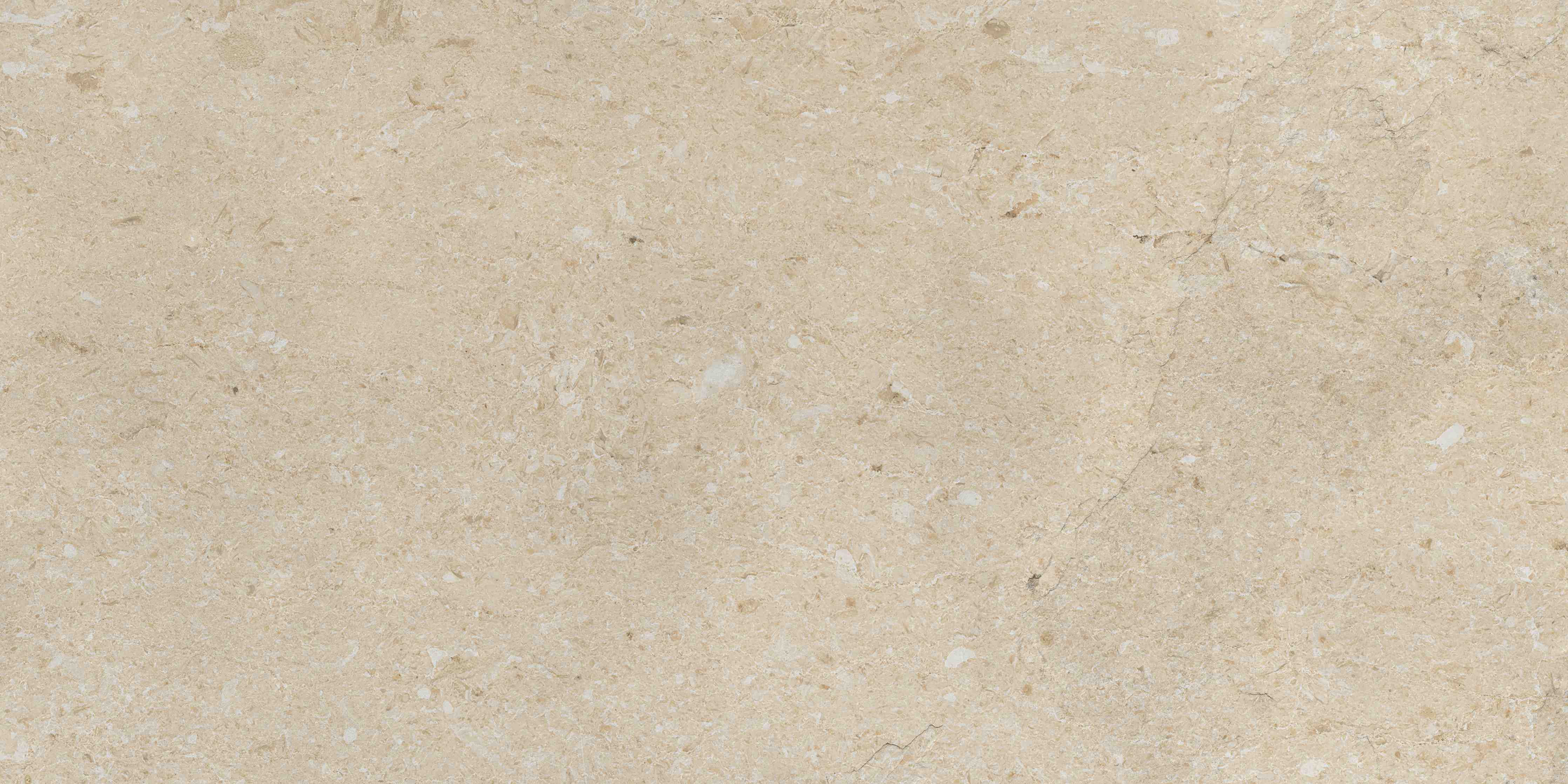 Wandverkleidung Flur-Beige vintage Oberfläche