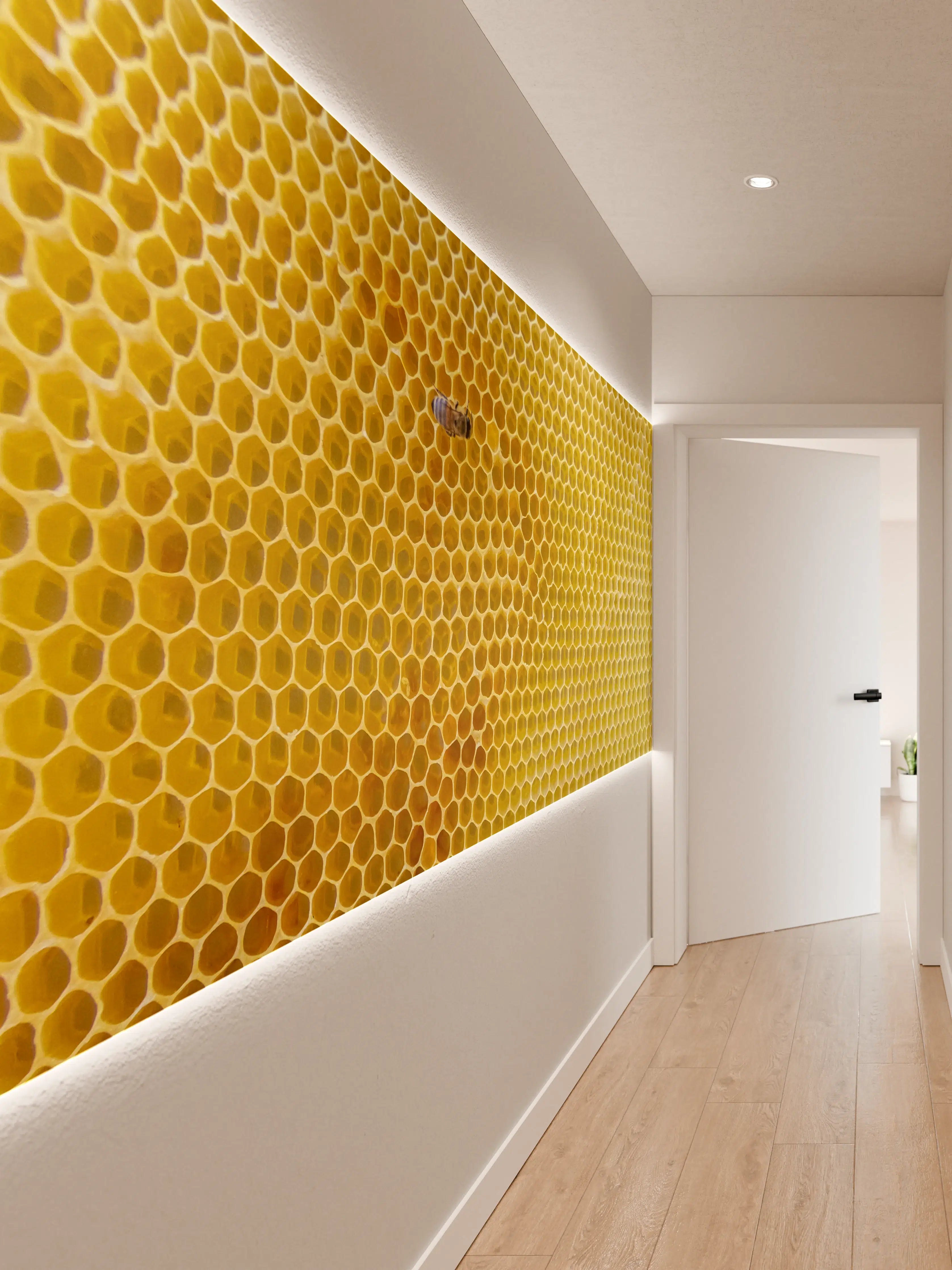Wandverkleidung Flur - Biene auf Bienenwabe im Detail