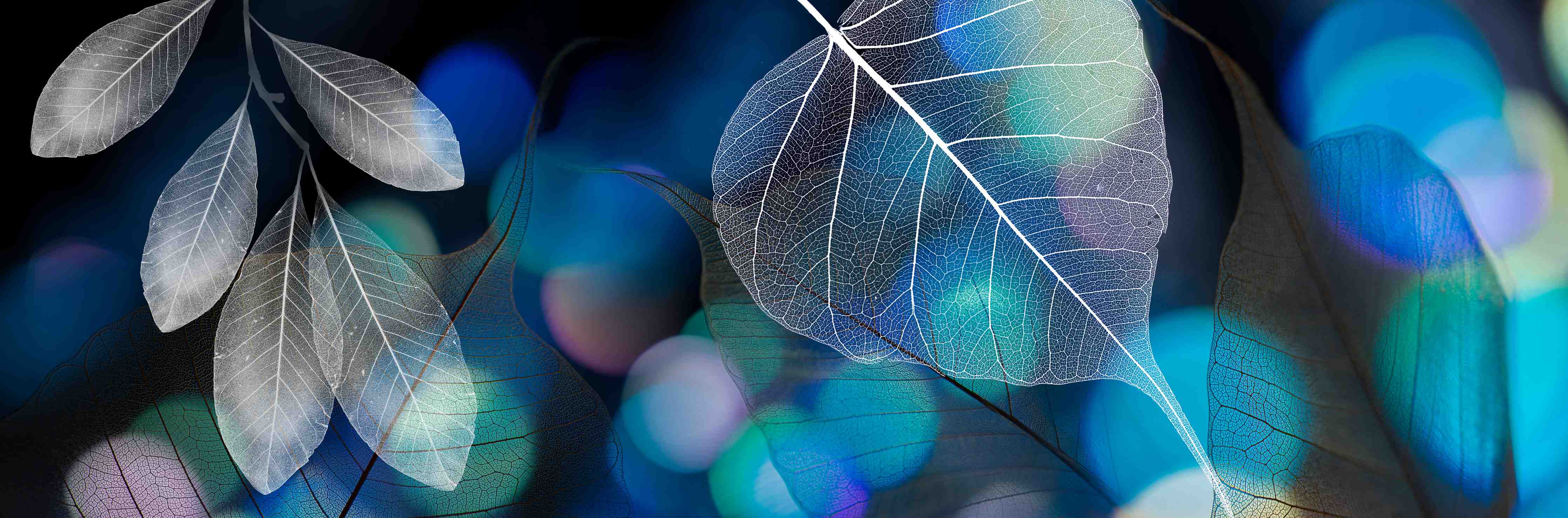 Wandverkleidung Flur-Blattstruktur mit Lichtbokeh Effekt