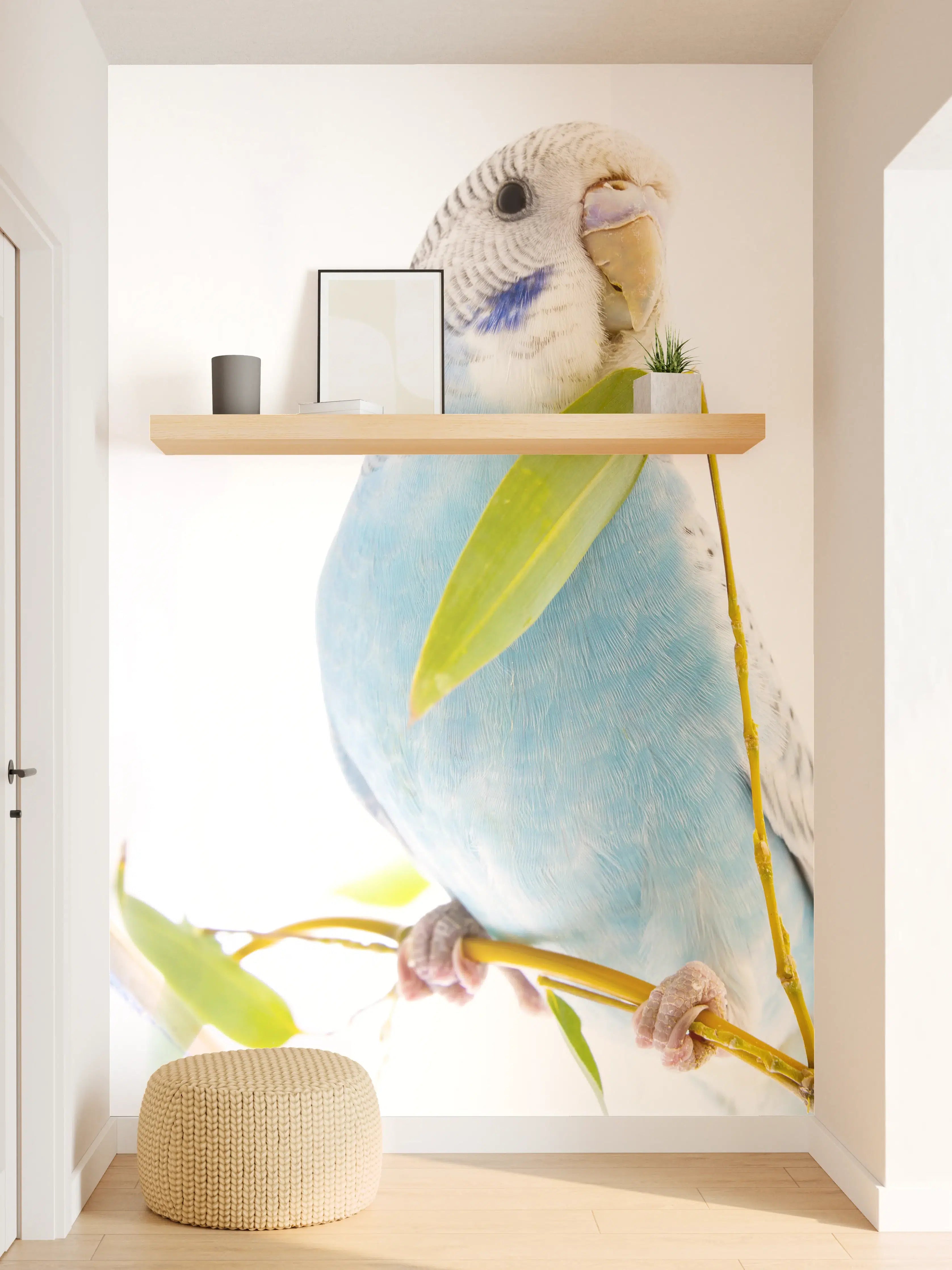 Wandverkleidung Flur - Blaue gewellte Papageien auf weißem Hintergrund