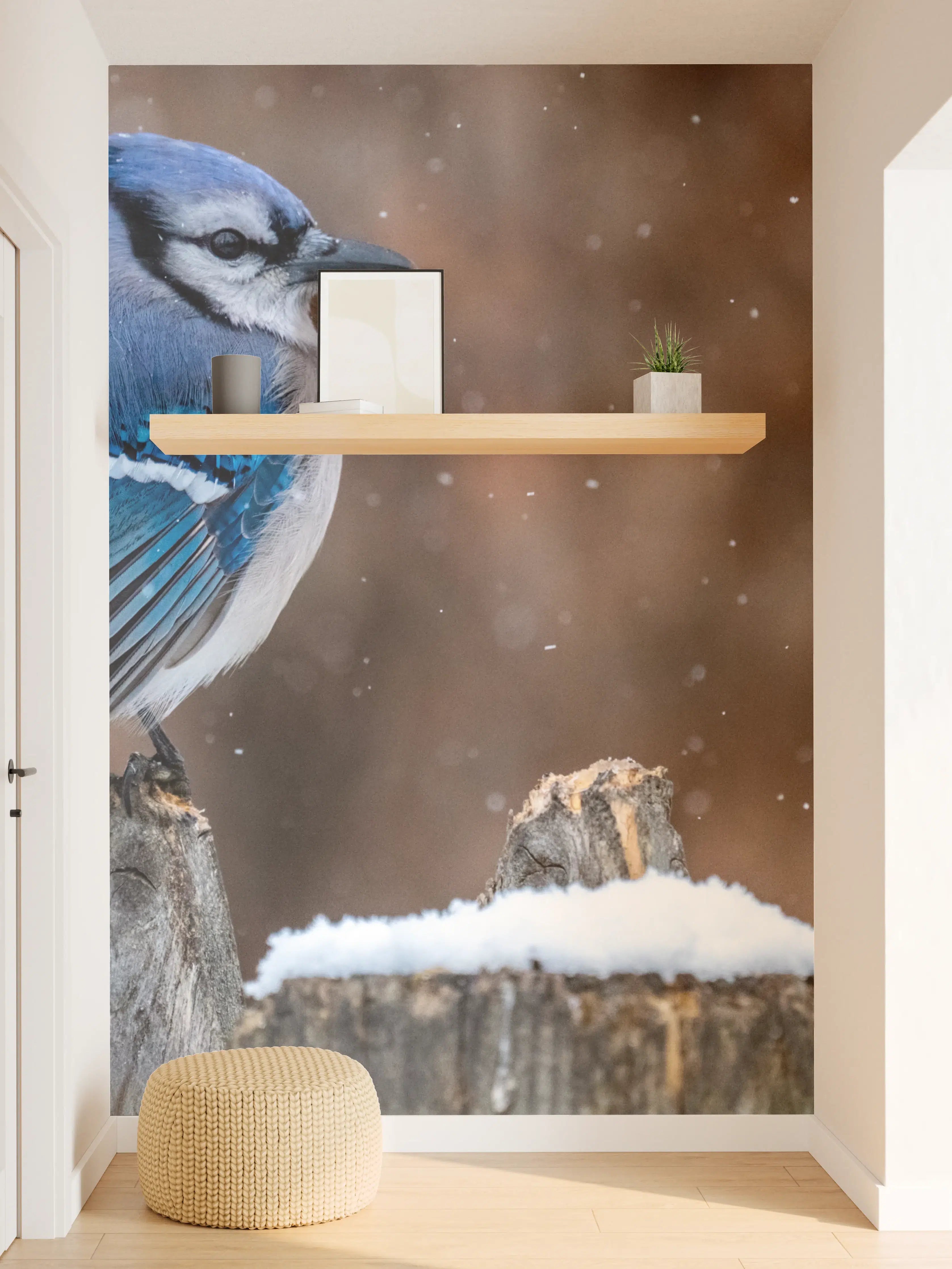 Wandverkleidung Flur - Blauhäher im Schnee