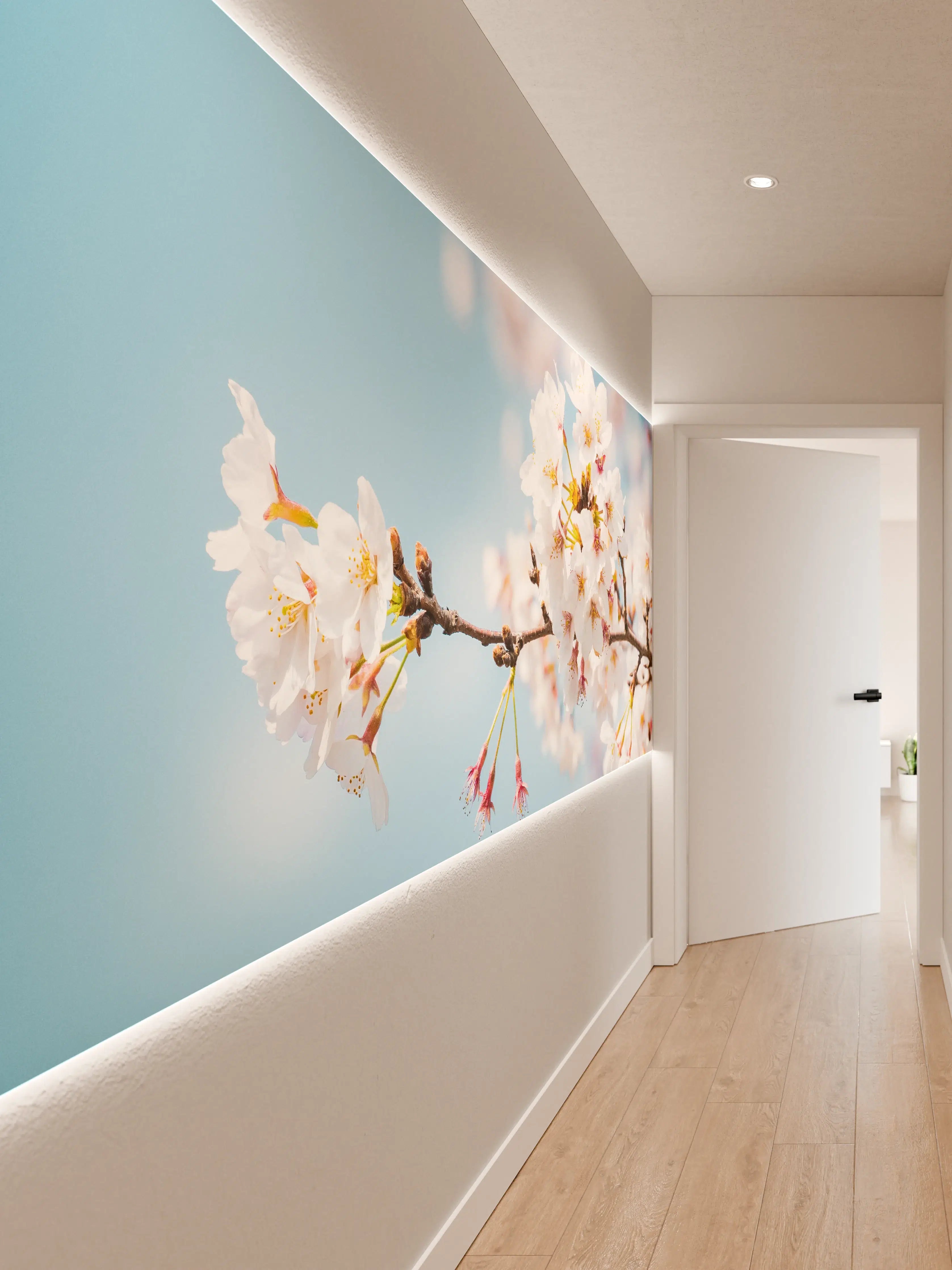 Wandverkleidung Flur - Blühende Kirschblüte vor blauem Himmel