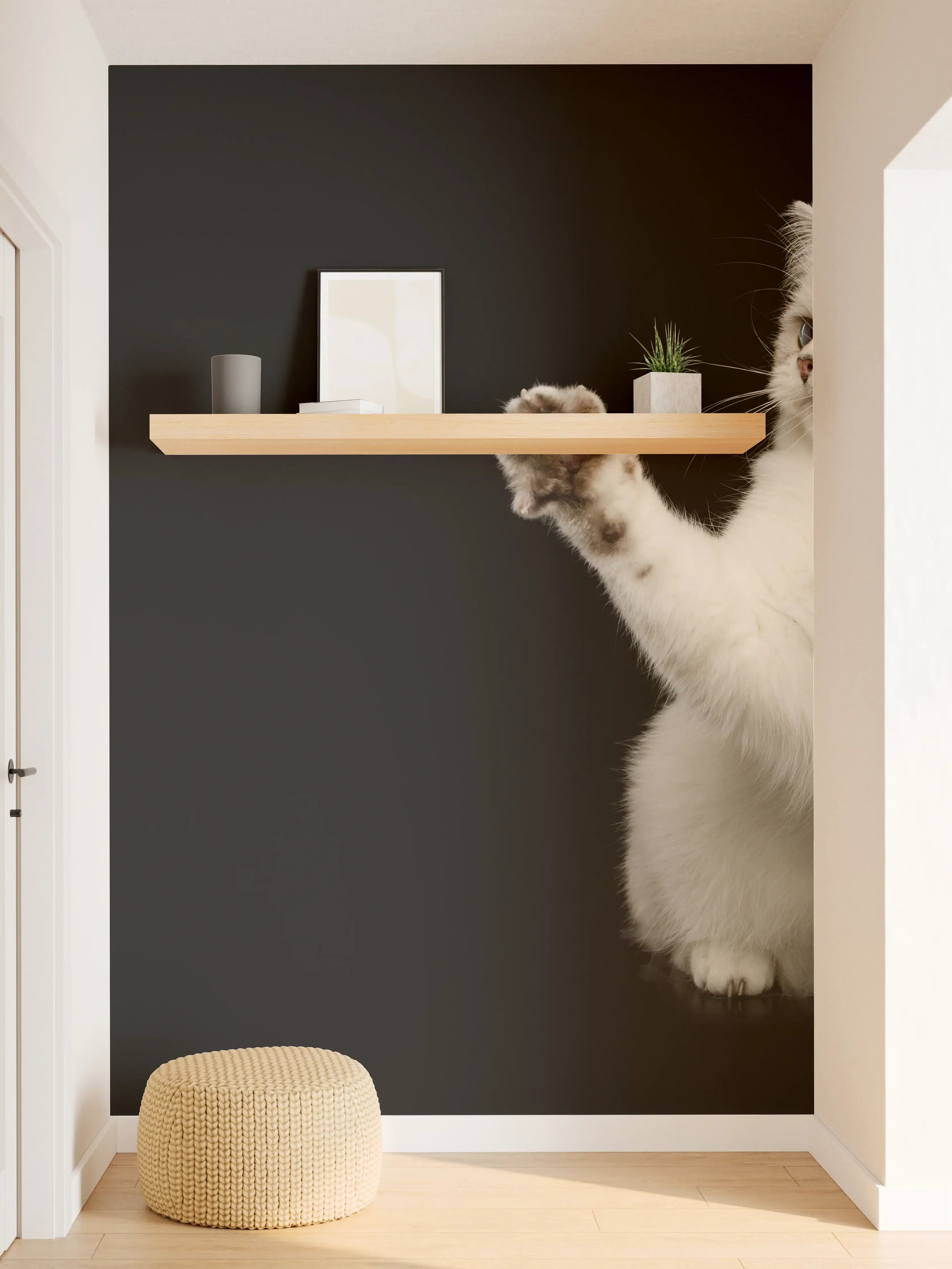 Wandverkleidung Flur - British weiße Katze