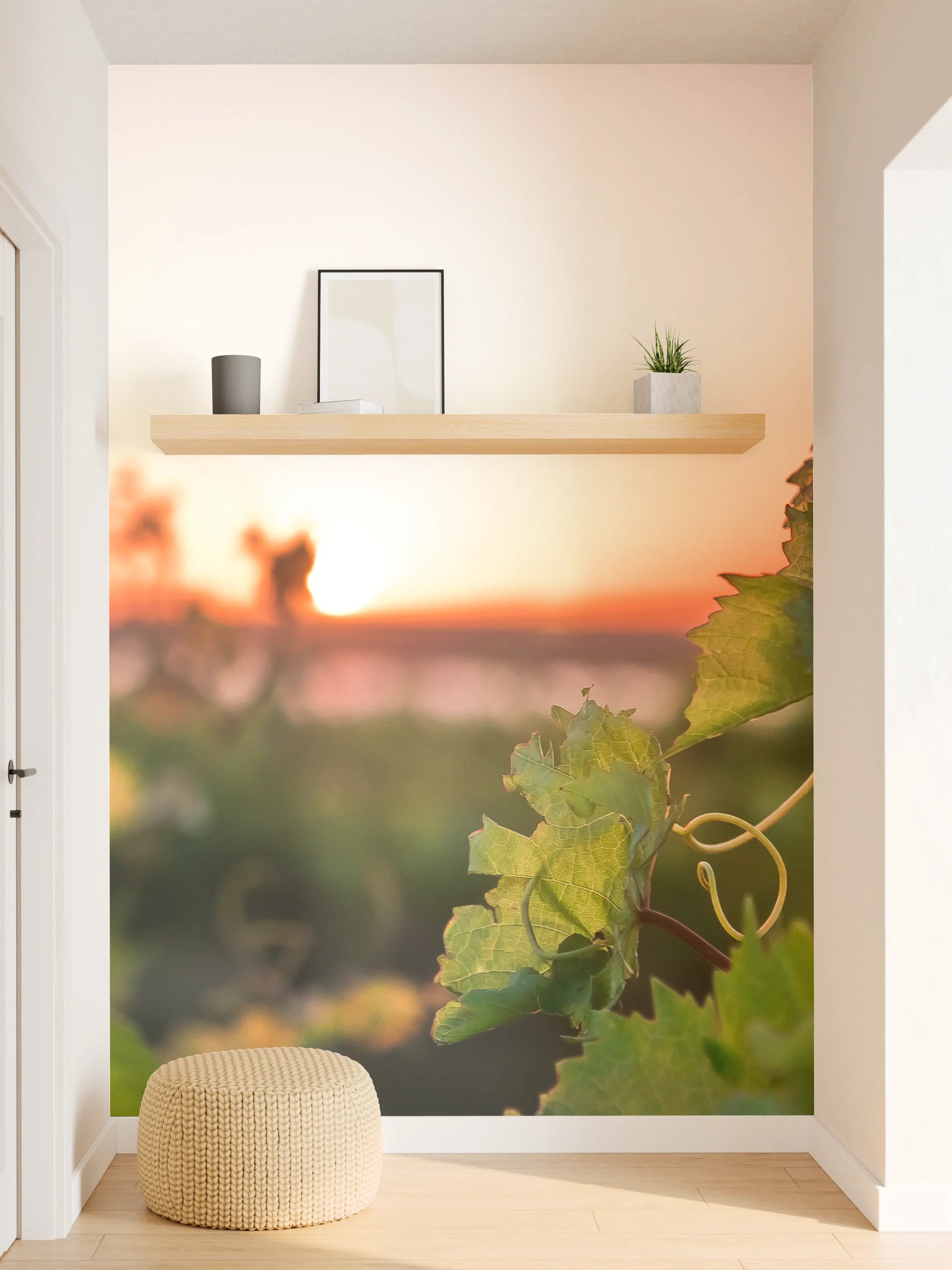 Wandverkleidung Flur - Bunte Weinreben bei Sonnenuntergang