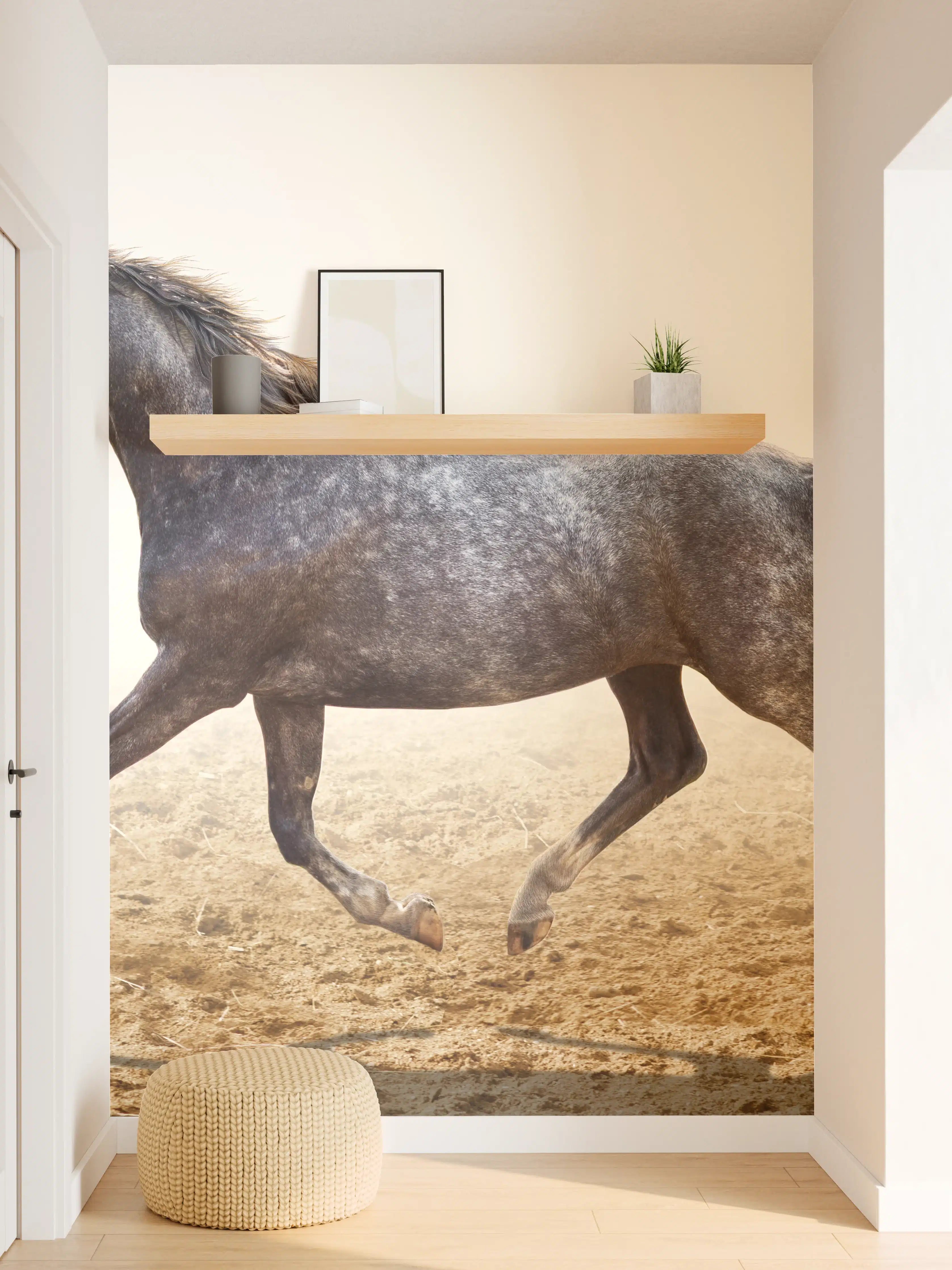 Wandverkleidung Flur - Ein graues Pferd reitend auf einem Feld
