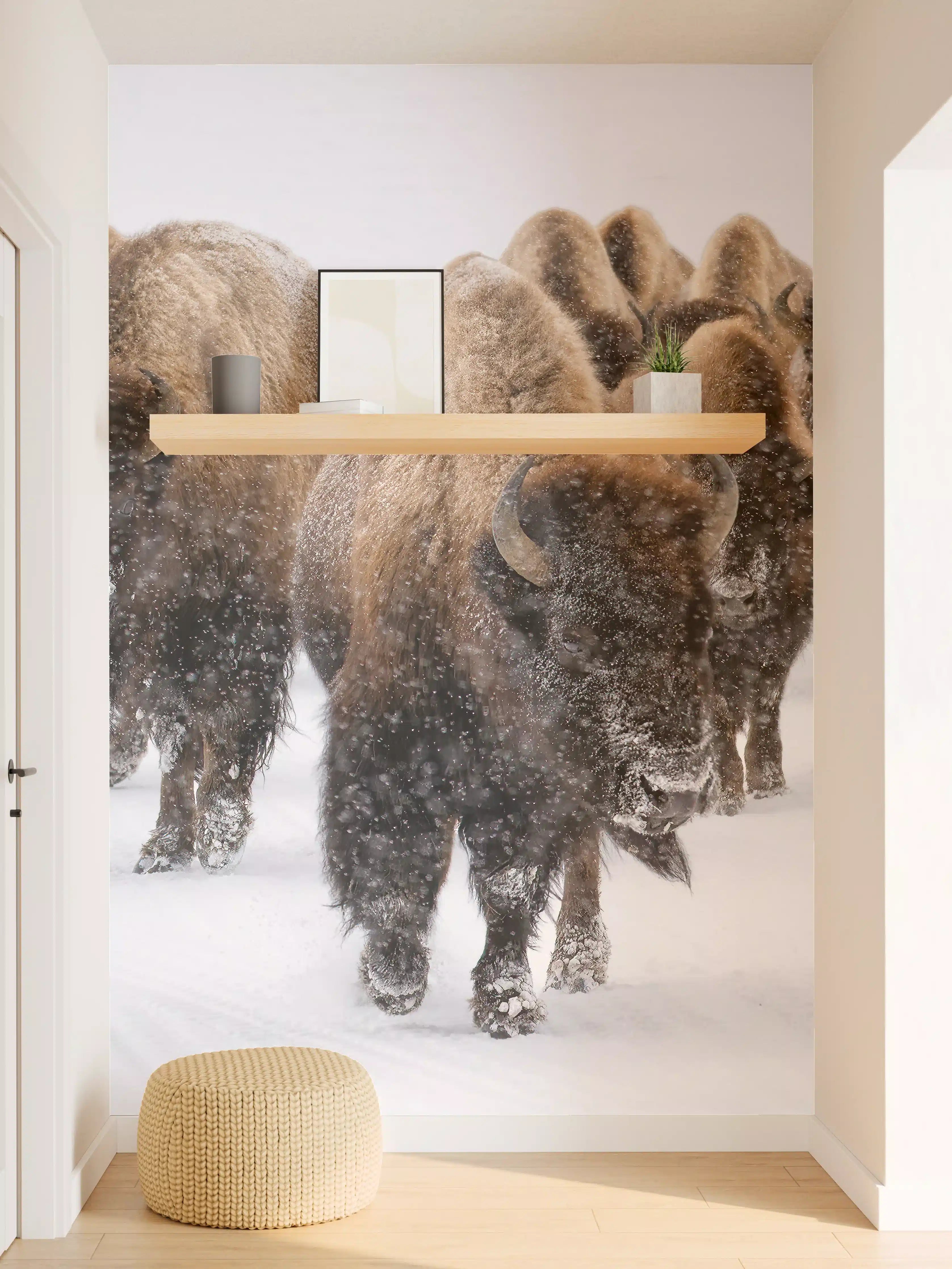 Wandverkleidung Flur - Eine Bison Herde