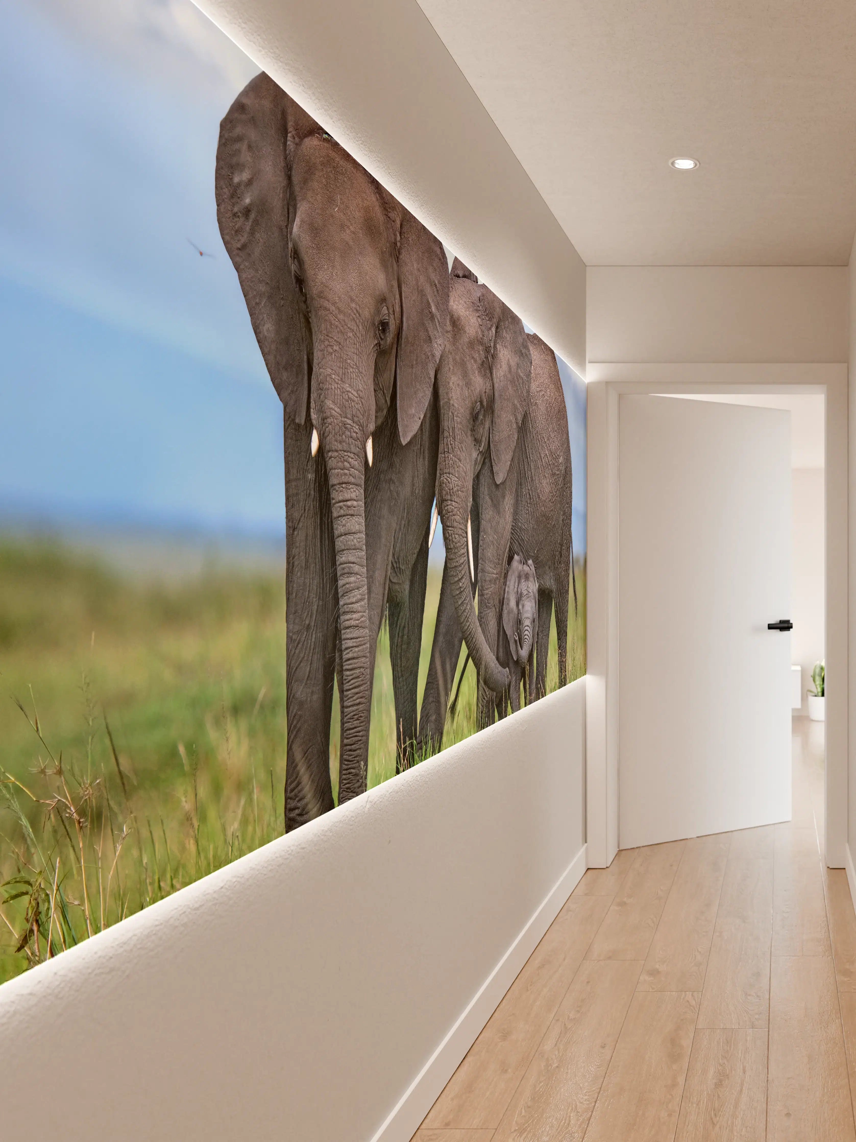 Wandverkleidung Flur - Elefanten Familie - Afrika