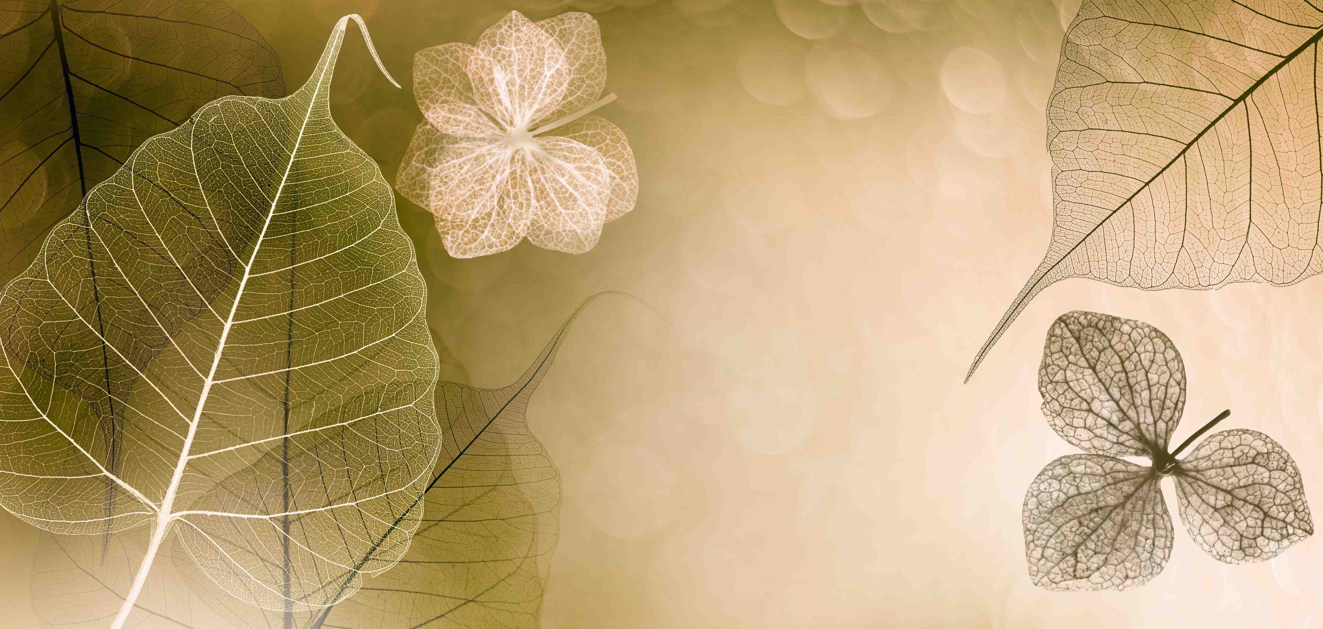 Wandverkleidung Flur-Elegant Blumen-Design in Sanften Farben