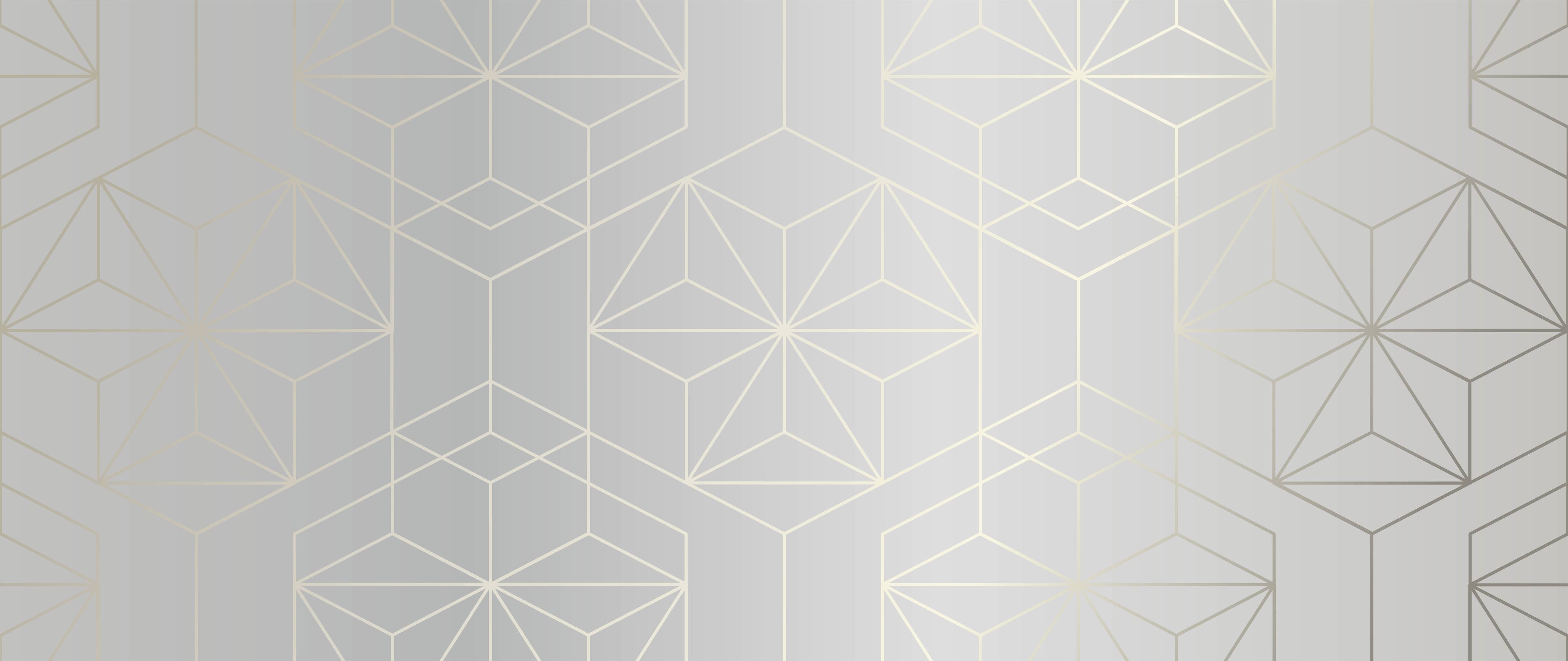 Wandverkleidung Flur-Elegante Weiß-Grau-Geometrie
