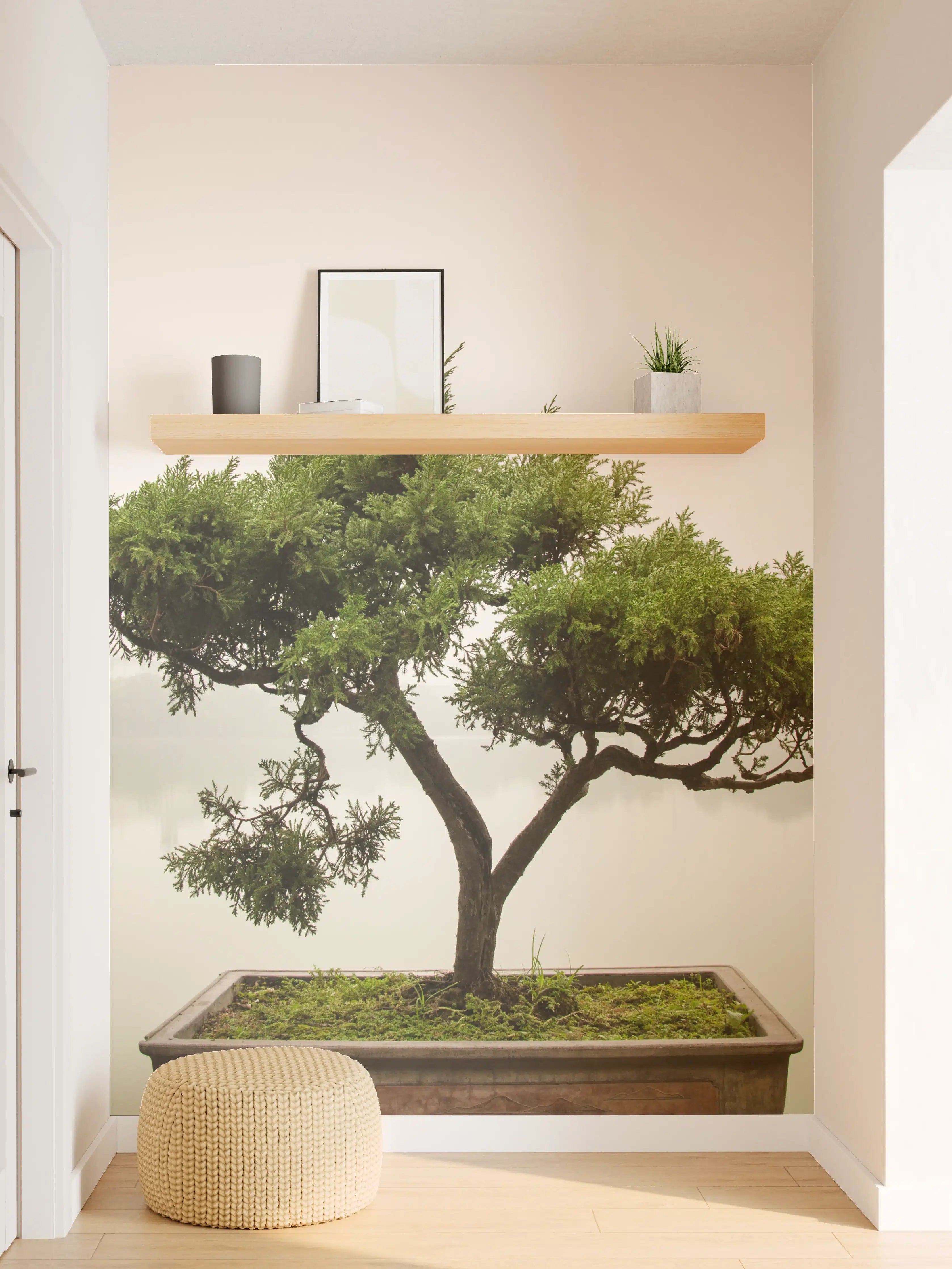 Wandverkleidung Flur - Eleganter Bonsai am stillen Grauwasser