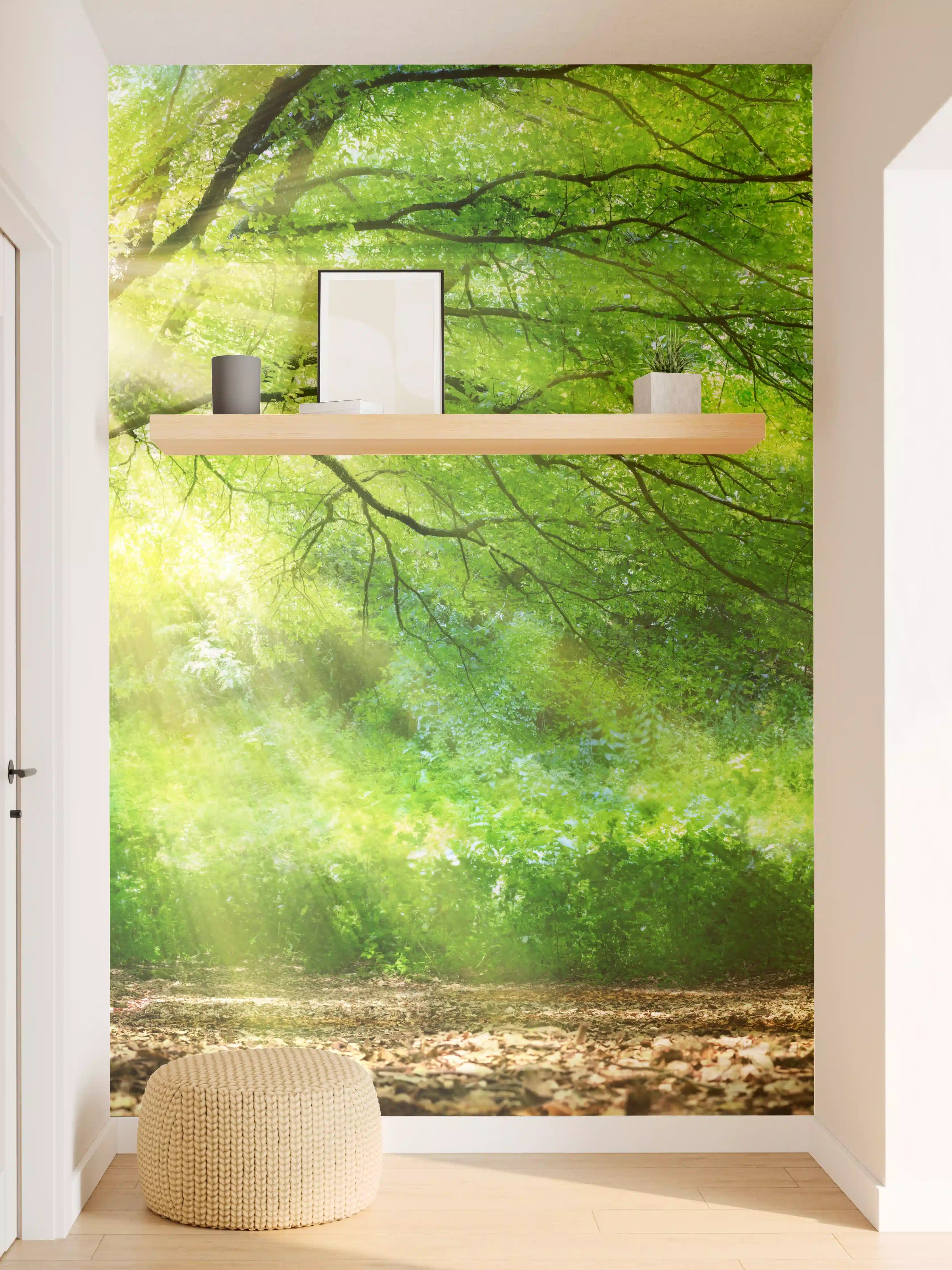 Wandverkleidung Flur - Energiegeladener Wald
