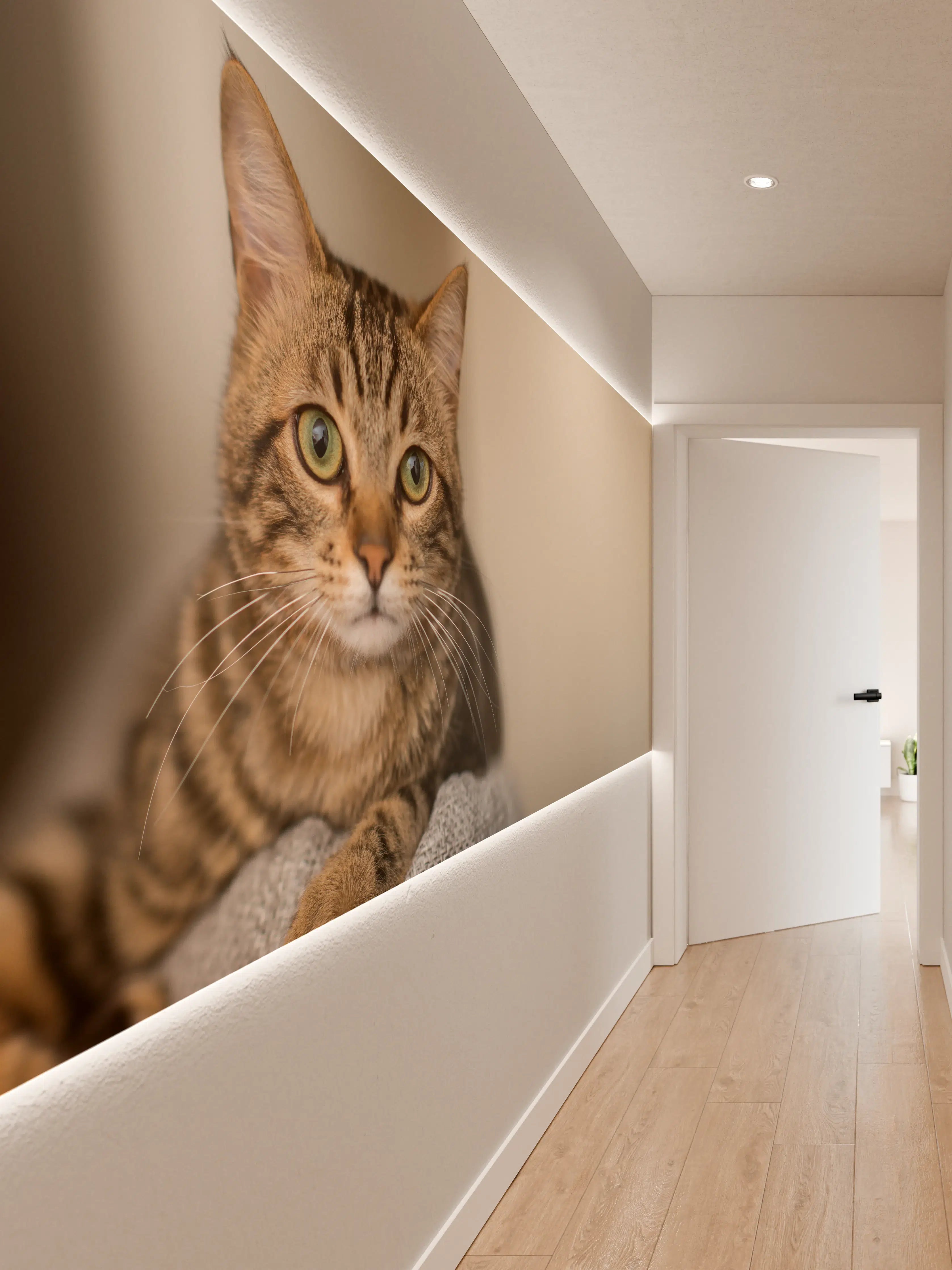 Wandverkleidung Flur - Entspannte Hauskatze in Beige-Braun