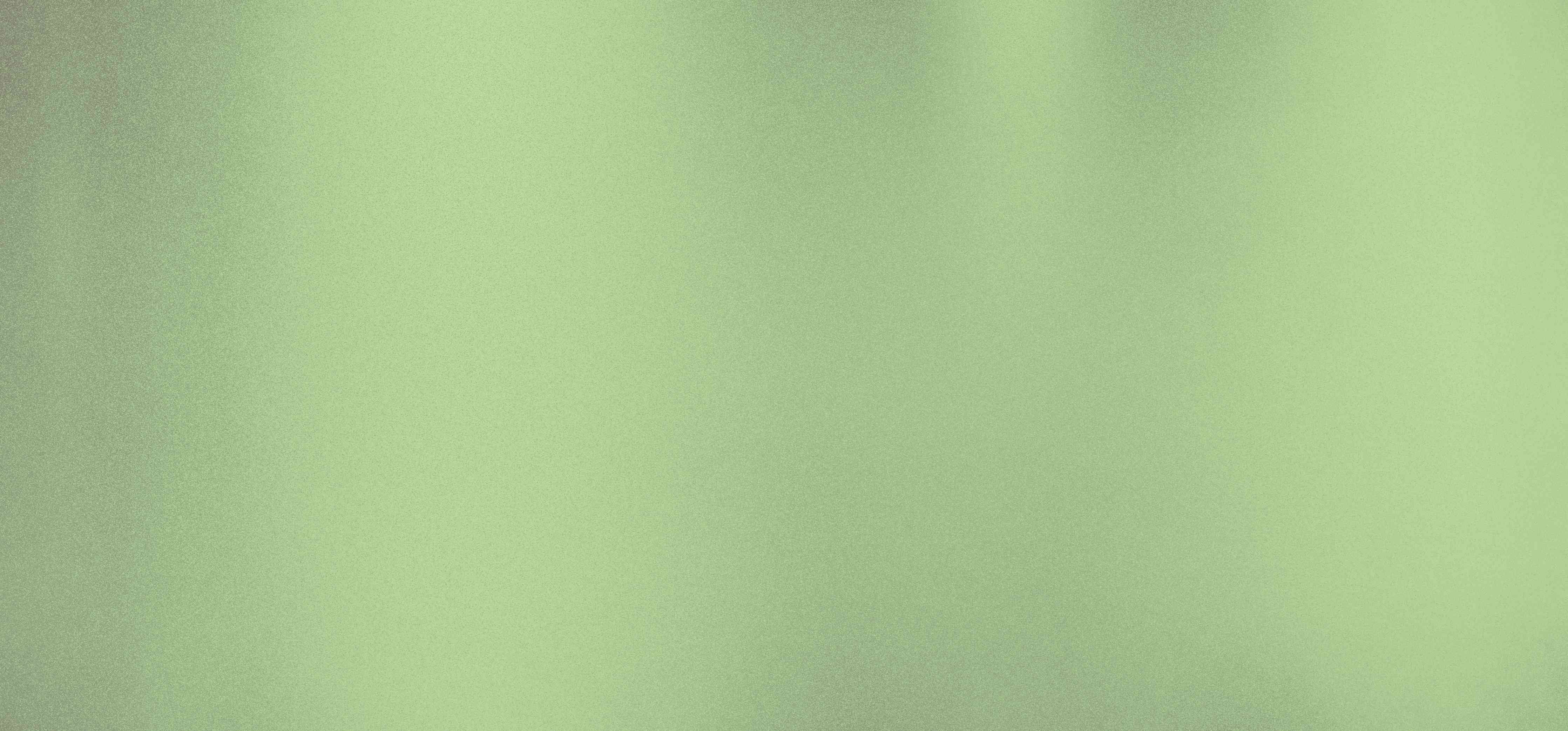 Wandverkleidung Flur-Gartenlandschaft im Morgenschein