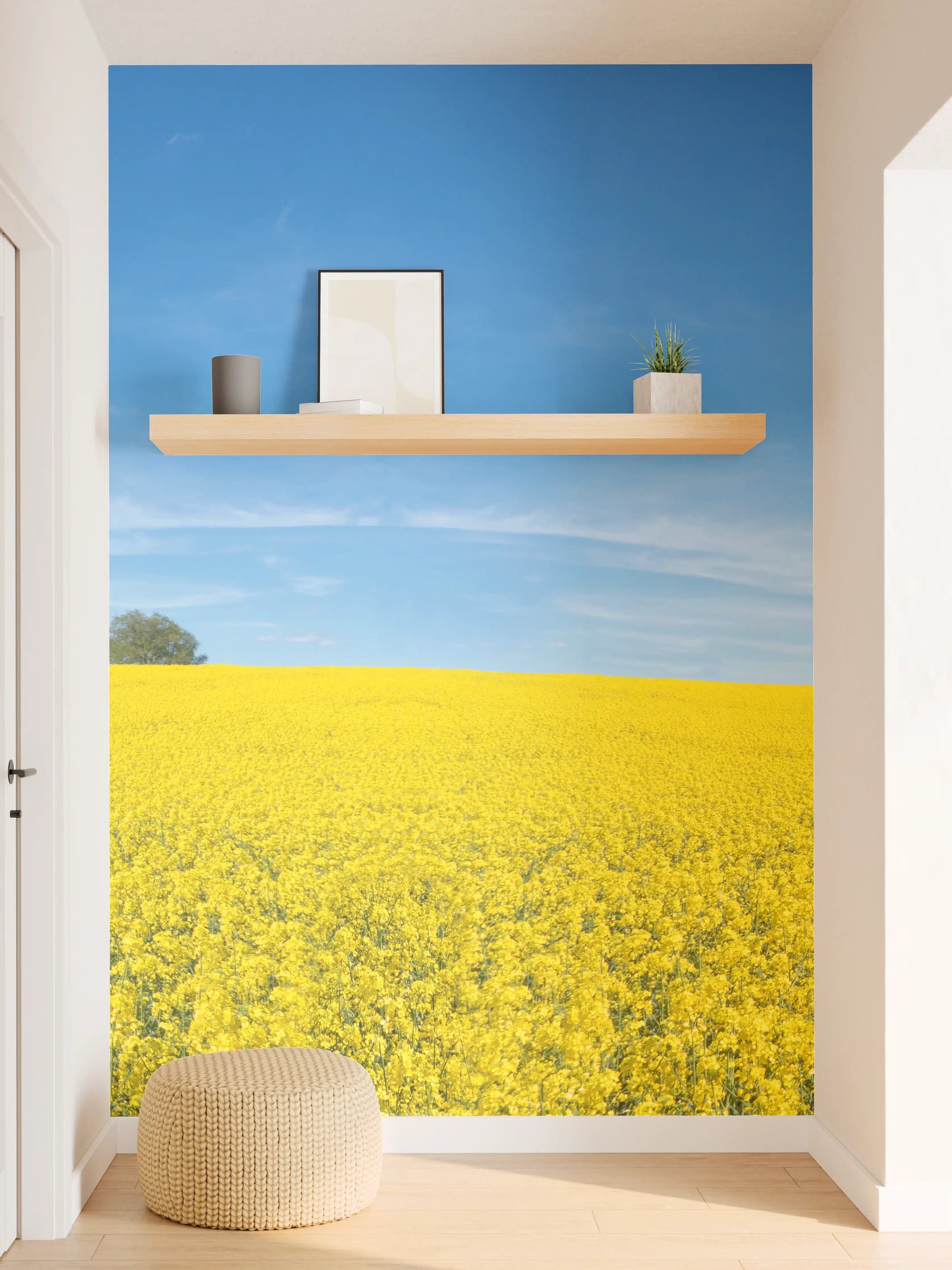 Wandverkleidung Flur - Gelbes Rapsfeld blauer Himmel
