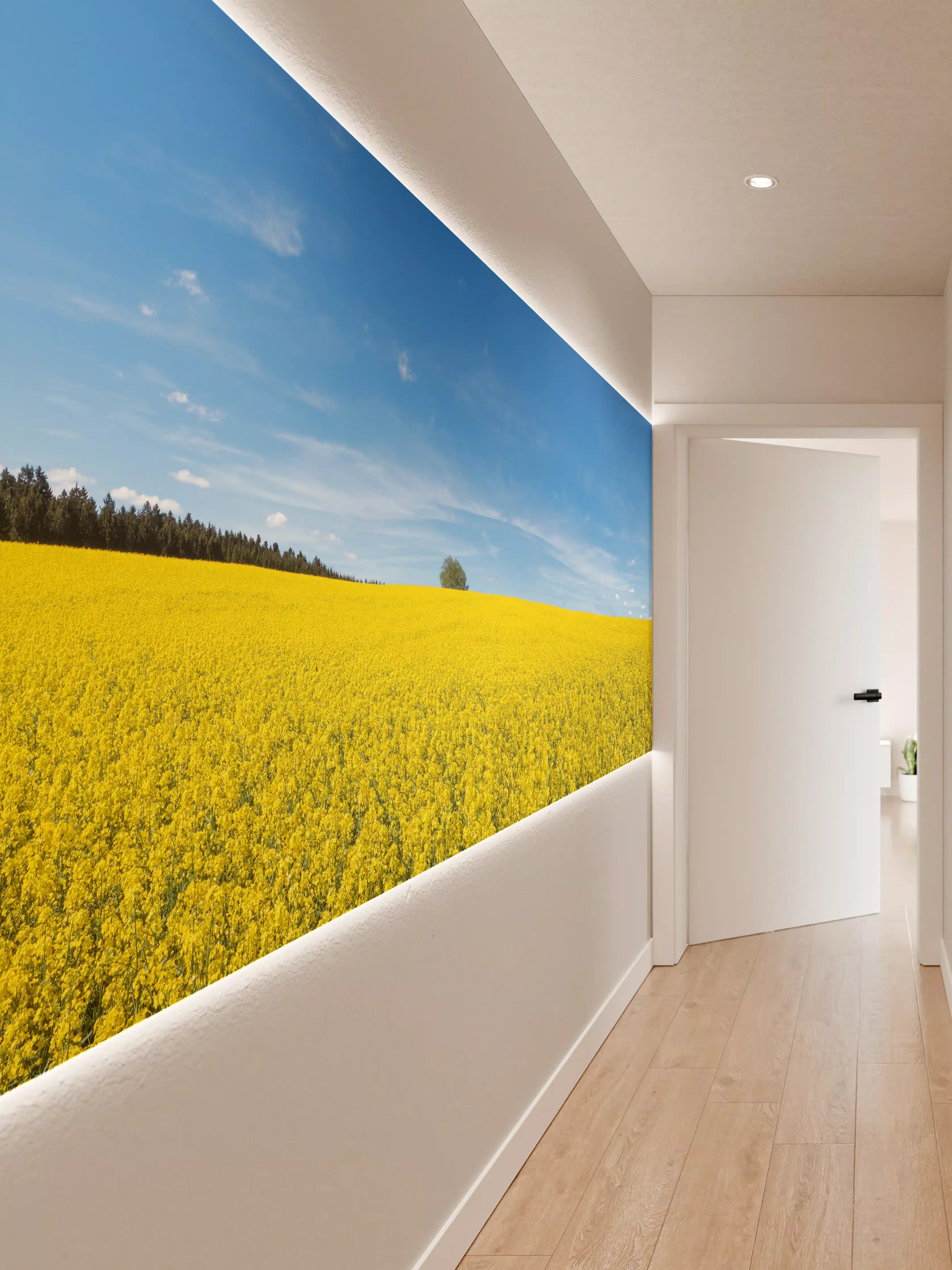 Wandverkleidung Flur - Gelbes Rapsfeld blauer Himmel