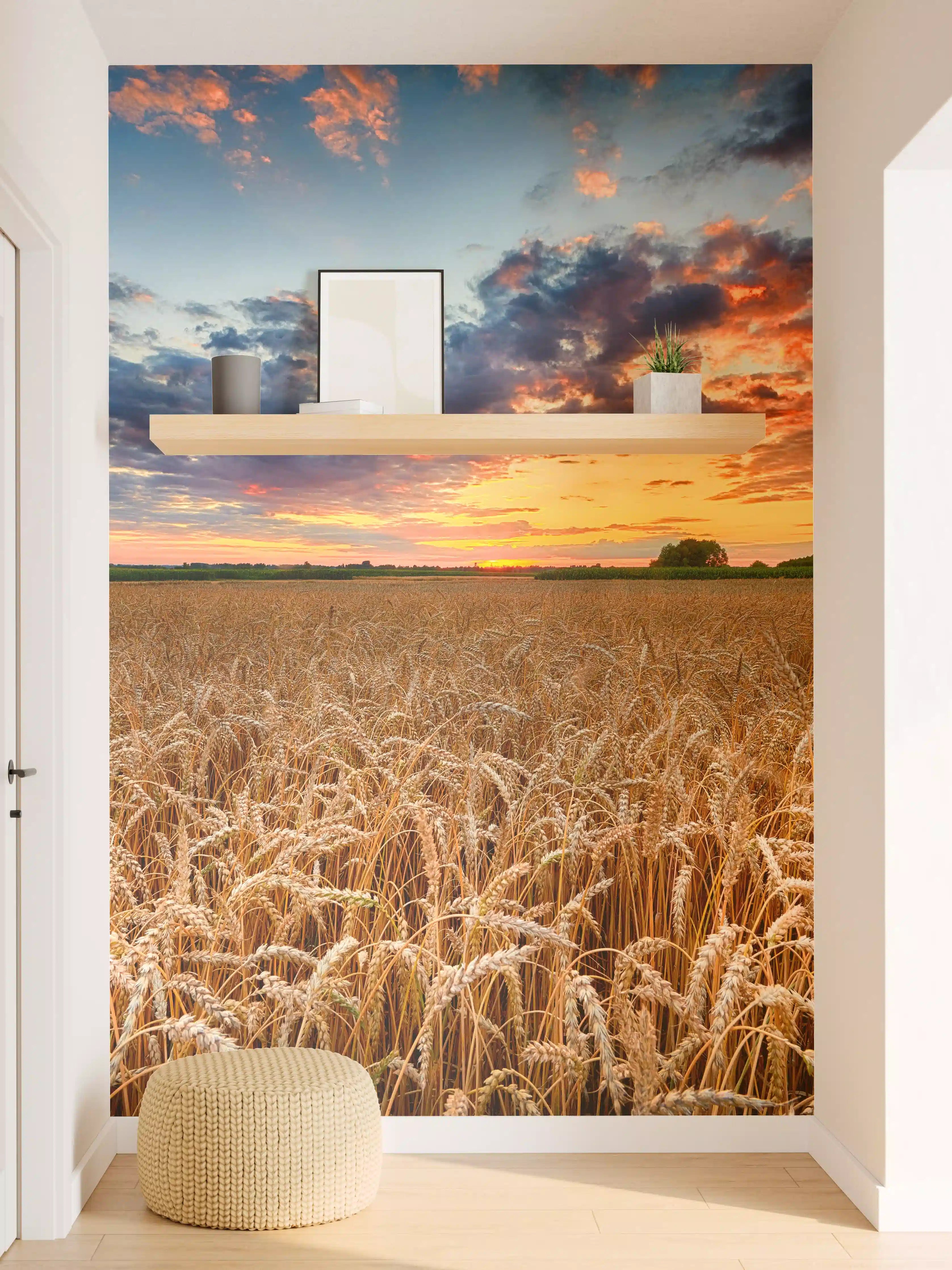 Wandverkleidung Flur - Goldenes Getreidefeld bei Sonnenuntergang