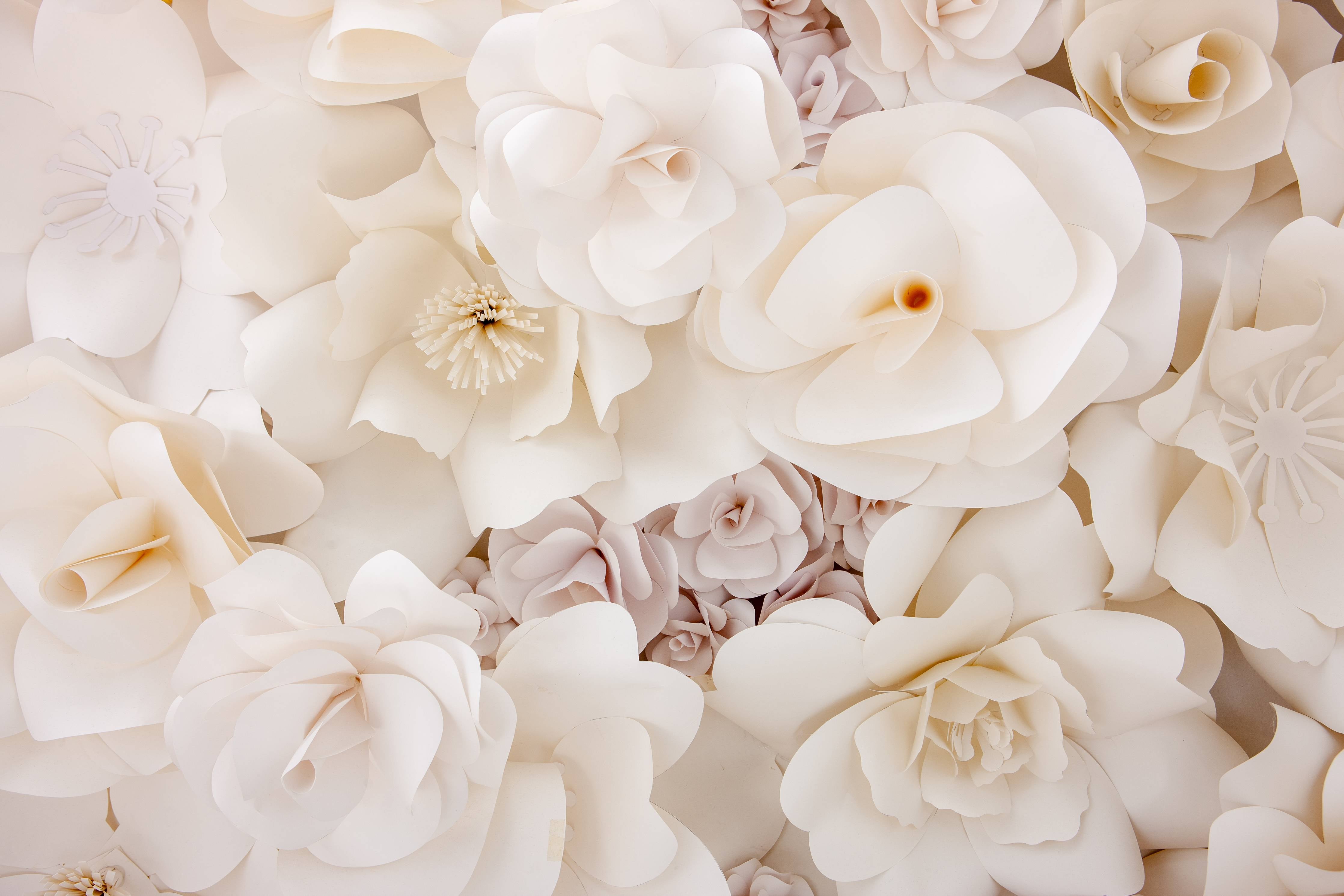 Wandverkleidung Flur-Graue Akzente in Weiß: Blumenwand