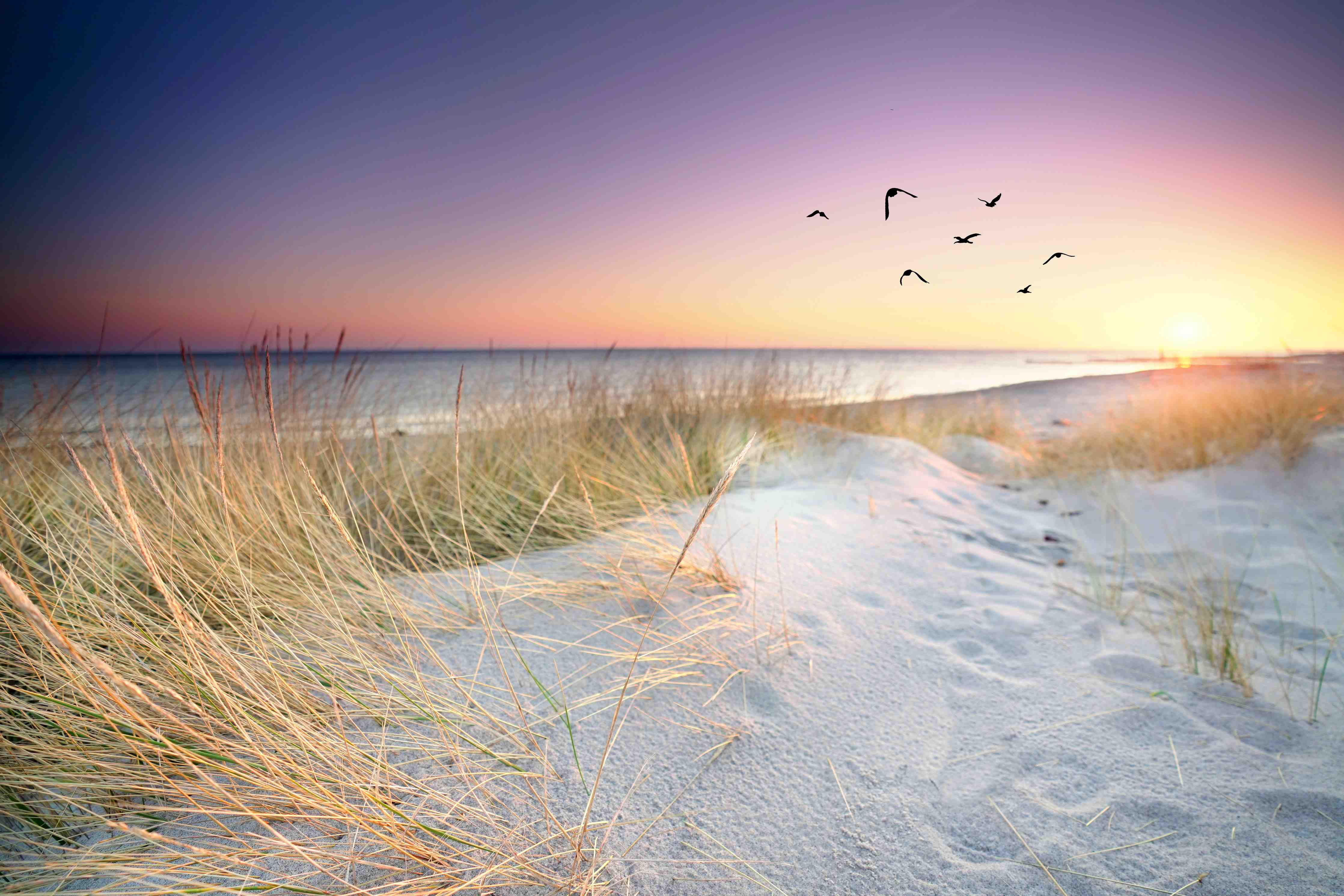 Wandverkleidung Flur-Graue Schatten am Meeresstrand