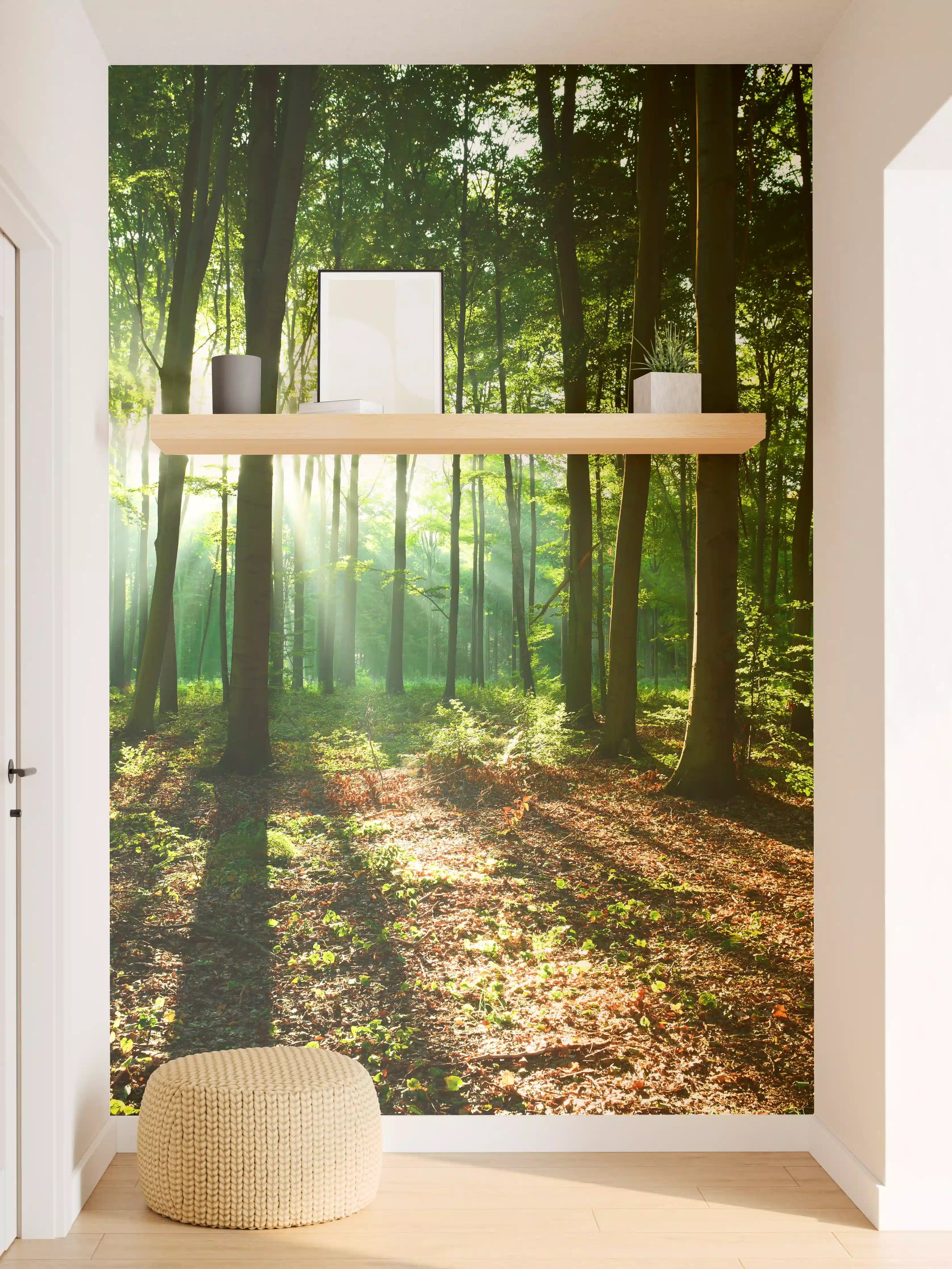 Wandverkleidung Flur - Graue Sonnenstrahlen im Wald