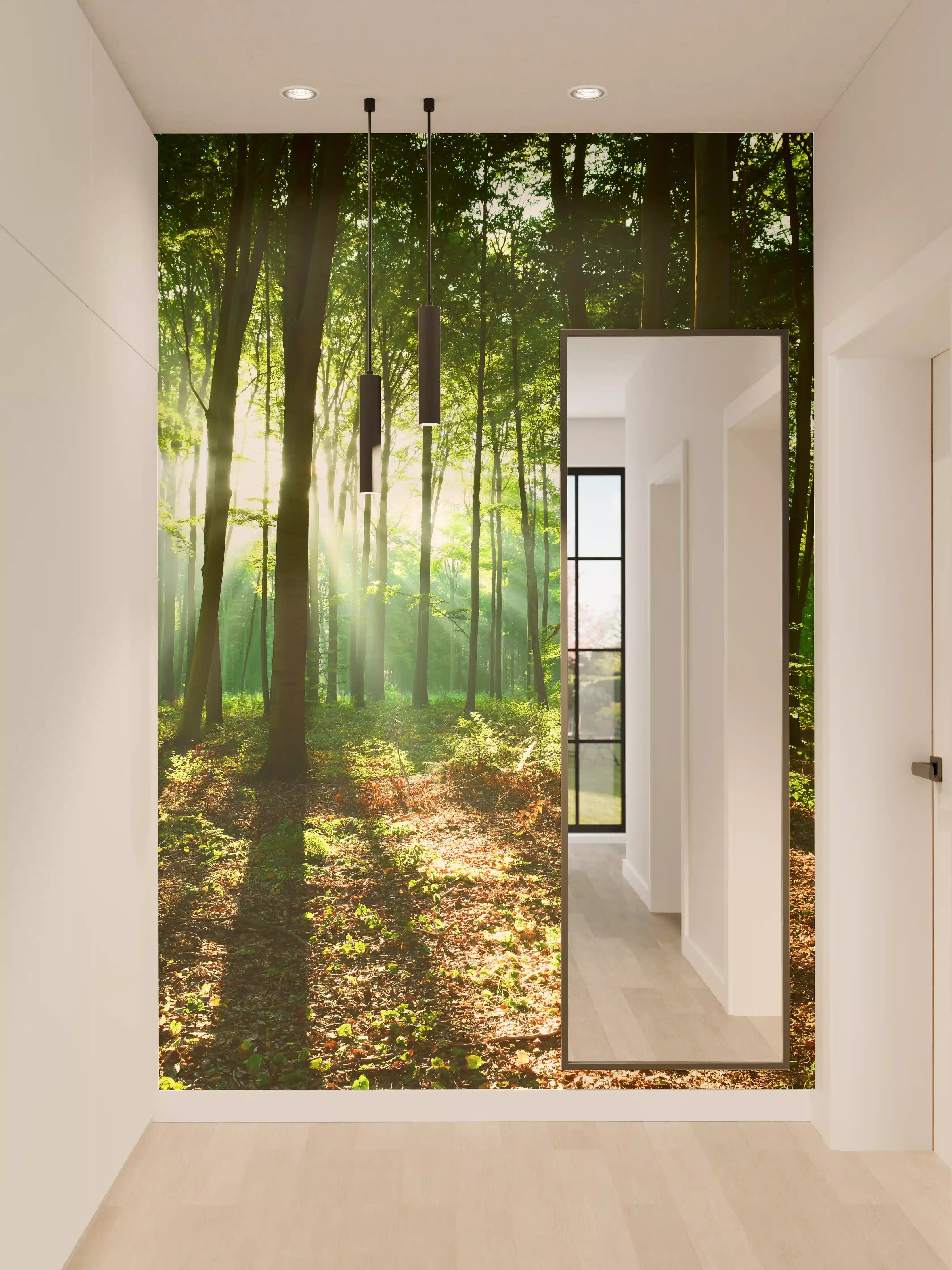 Wandverkleidung Flur - Graue Sonnenstrahlen im Wald