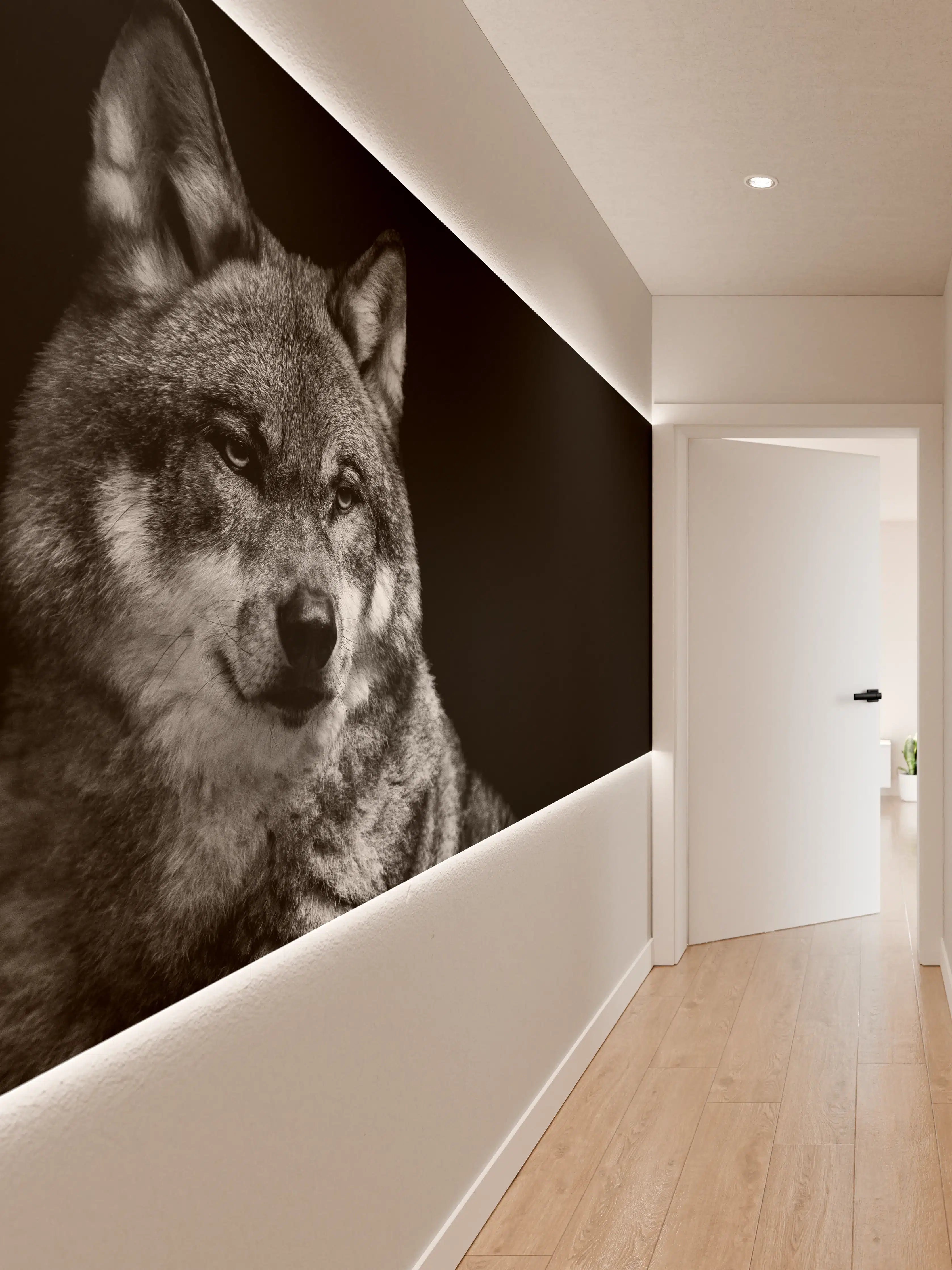 Wandverkleidung Flur - Grauer Wolf auf schwarzem Hintergrund