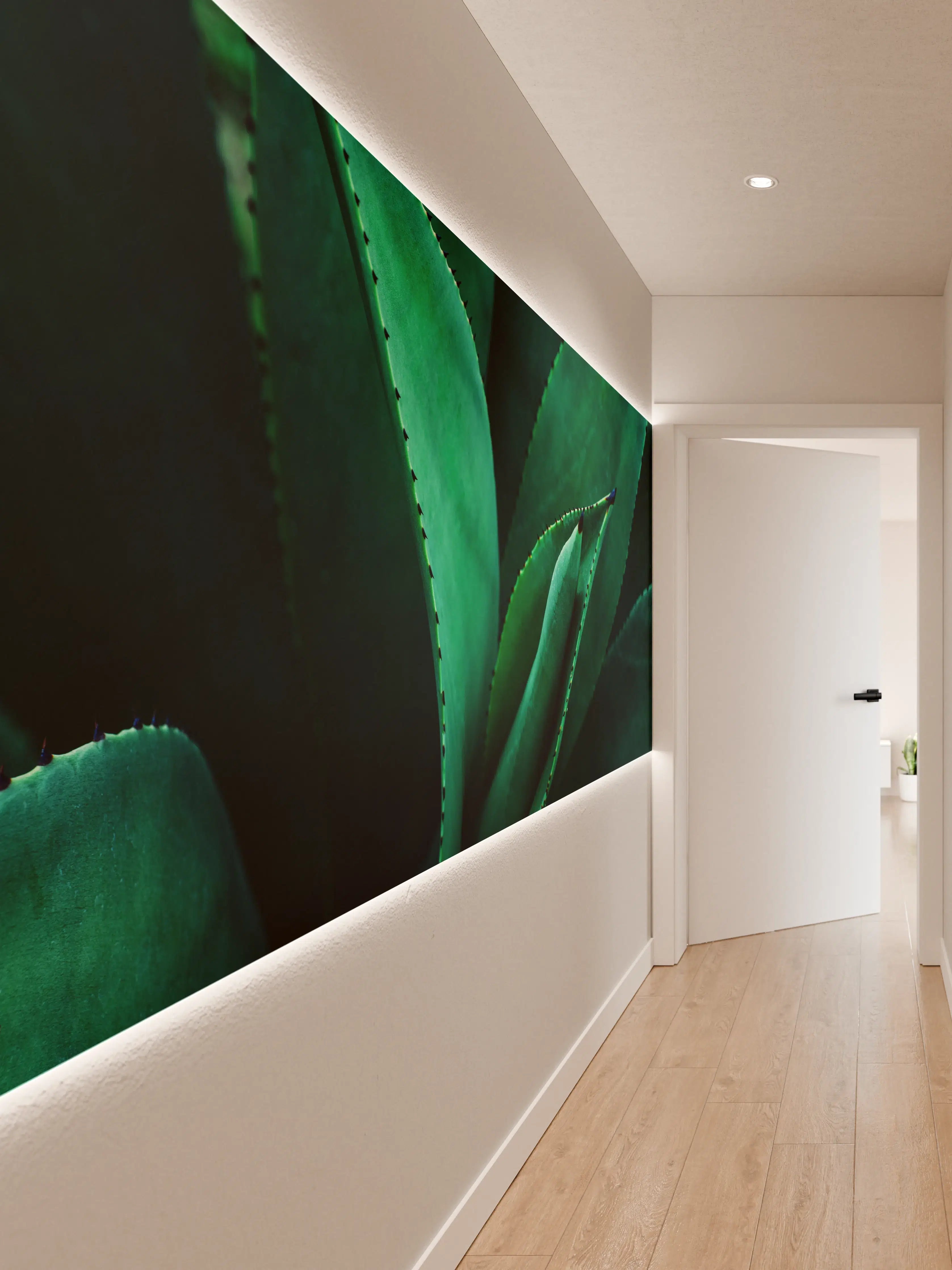 Wandverkleidung Flur - Grüne Aloe Vera Pflanze