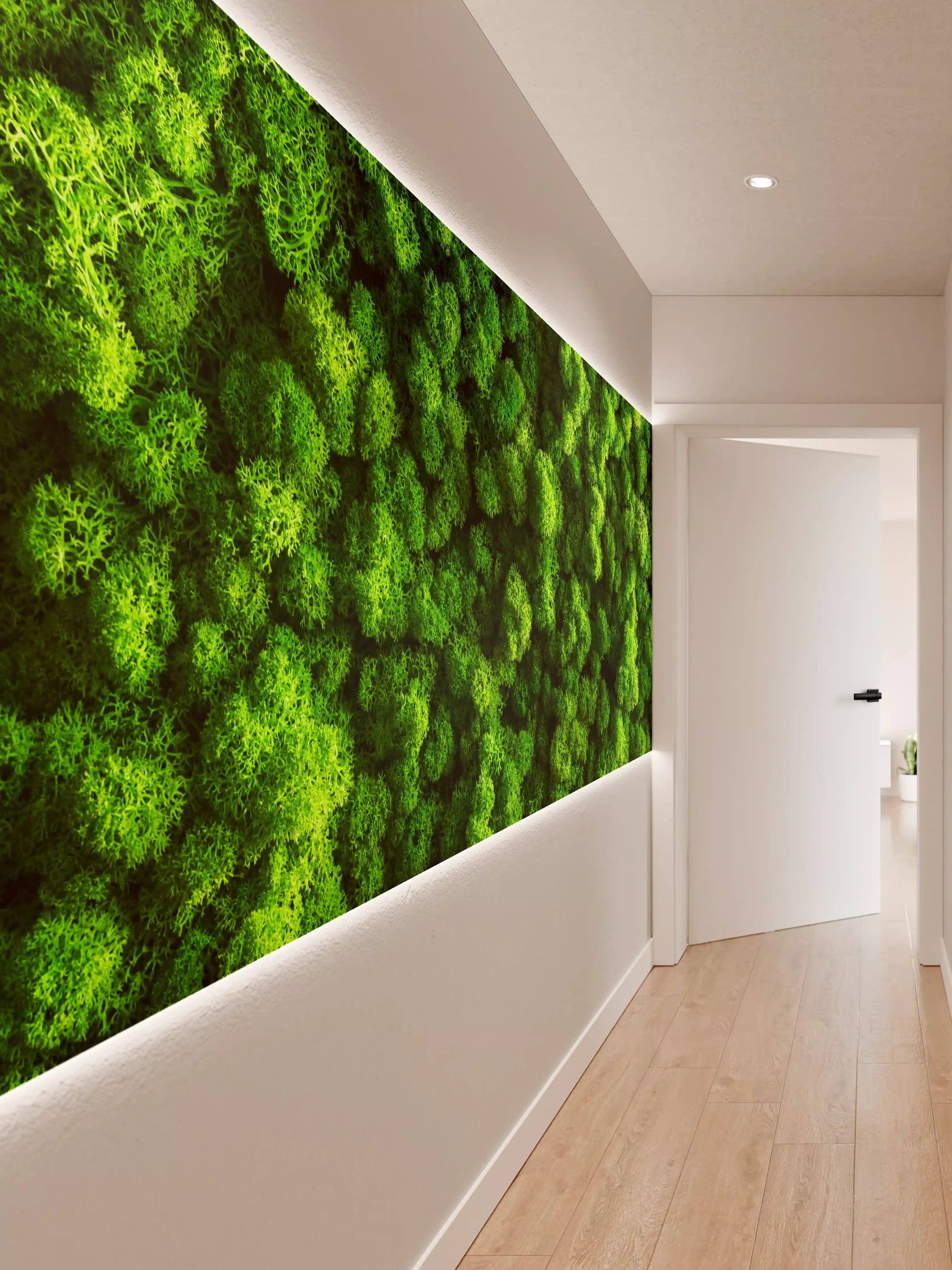 Wandverkleidung Flur - Grüner Wald, Naturidyll