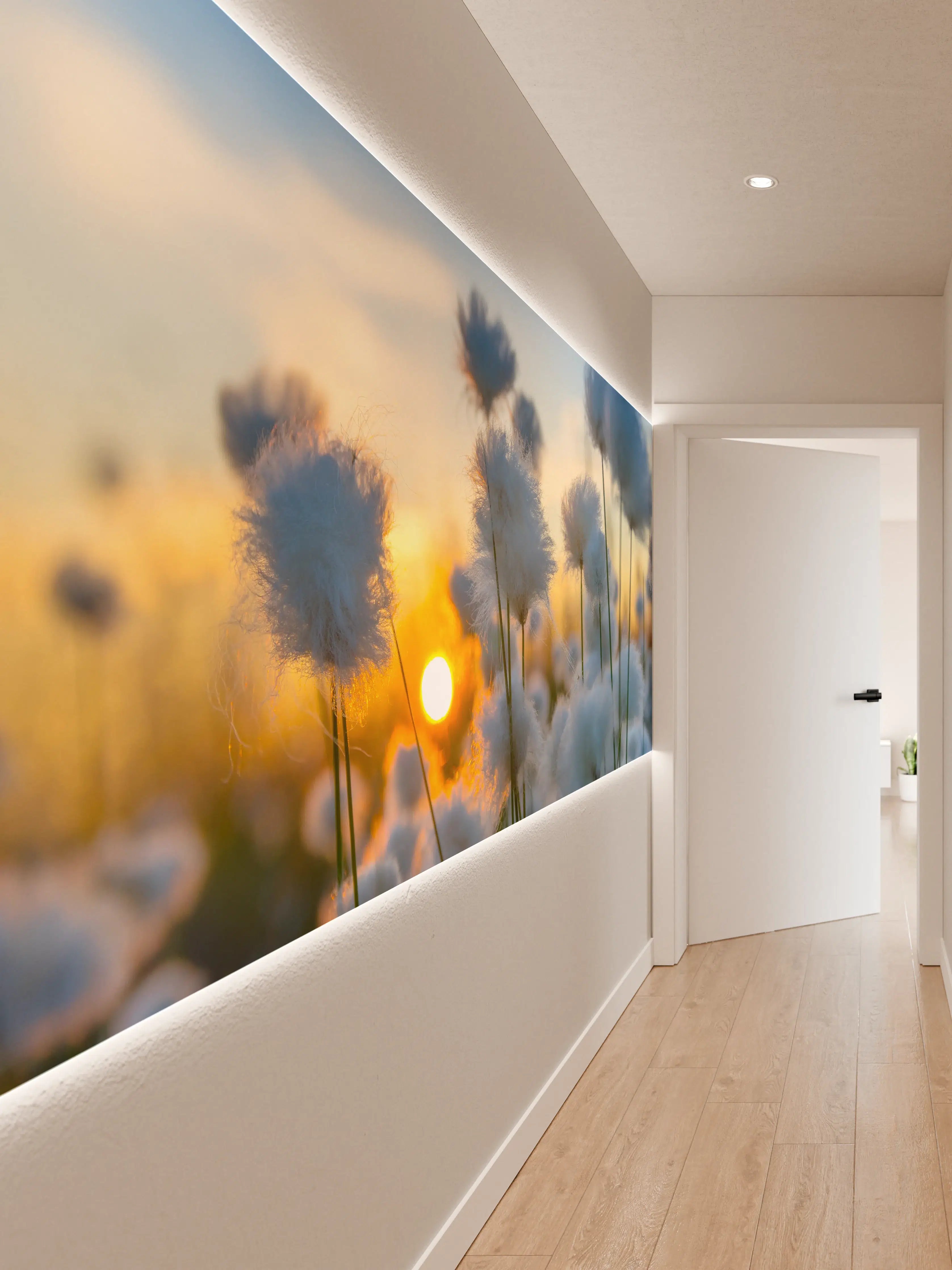 Wandverkleidung Flur - Helles Naturbild mit Baumwollblumen und Sonnenuntergang