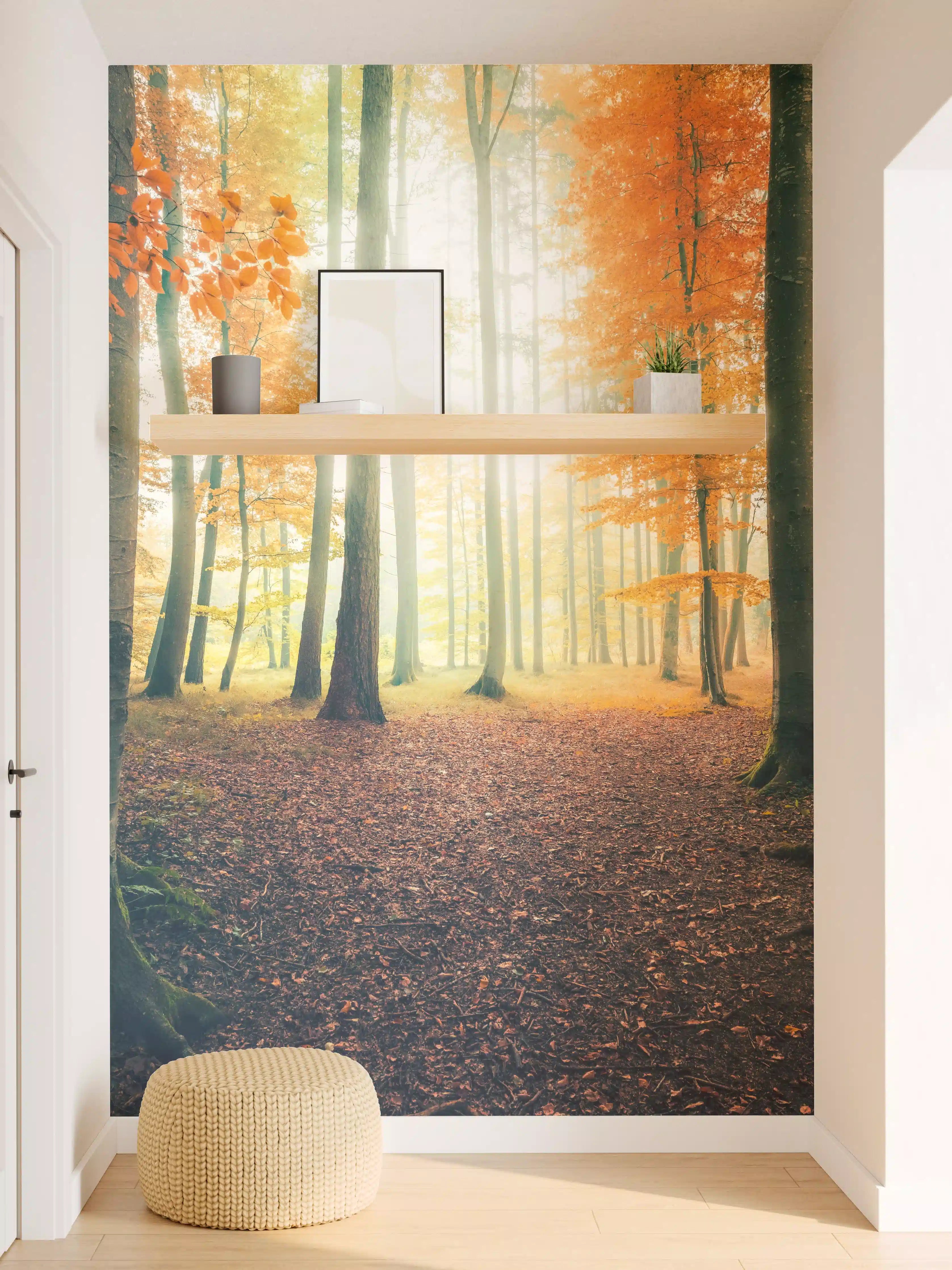 Wandverkleidung Flur - Herbstlicher Waldspaziergang im Sonnenlicht
