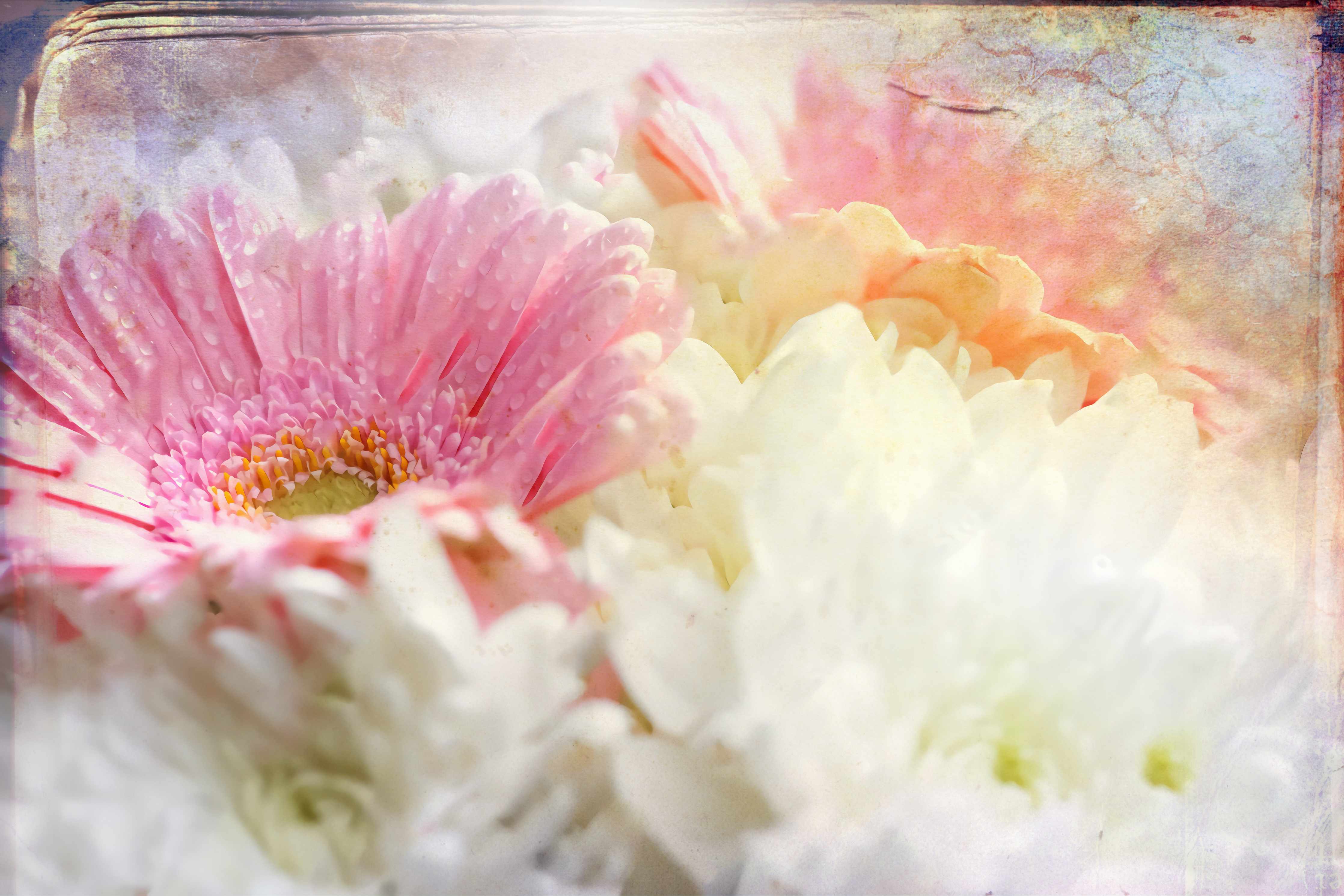 Wandverkleidung Flur-Hochwertiges Blumenbild mit Pastellfarben