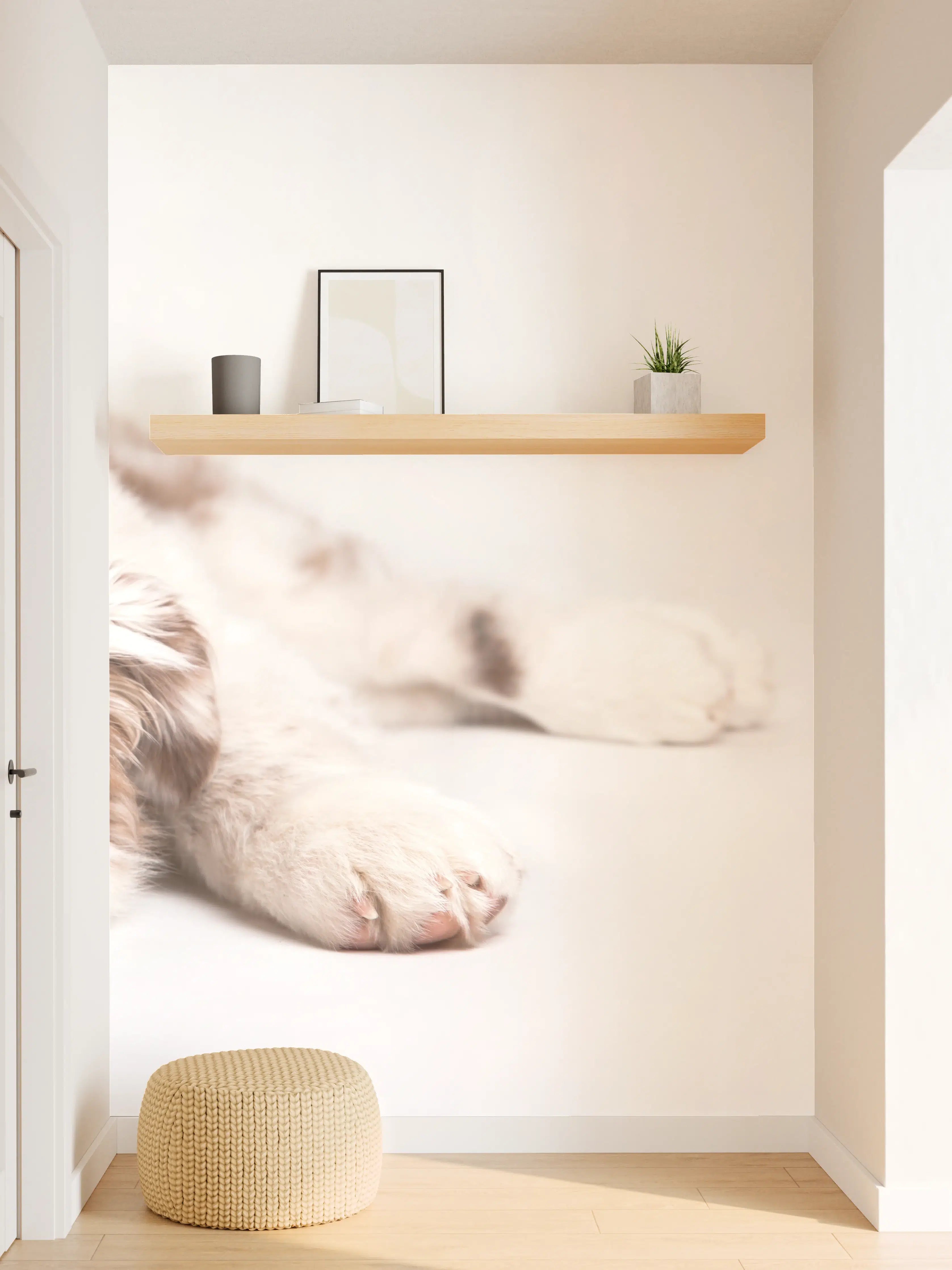 Wandverkleidung Flur - Hunde Portrait - Australian Shepherd