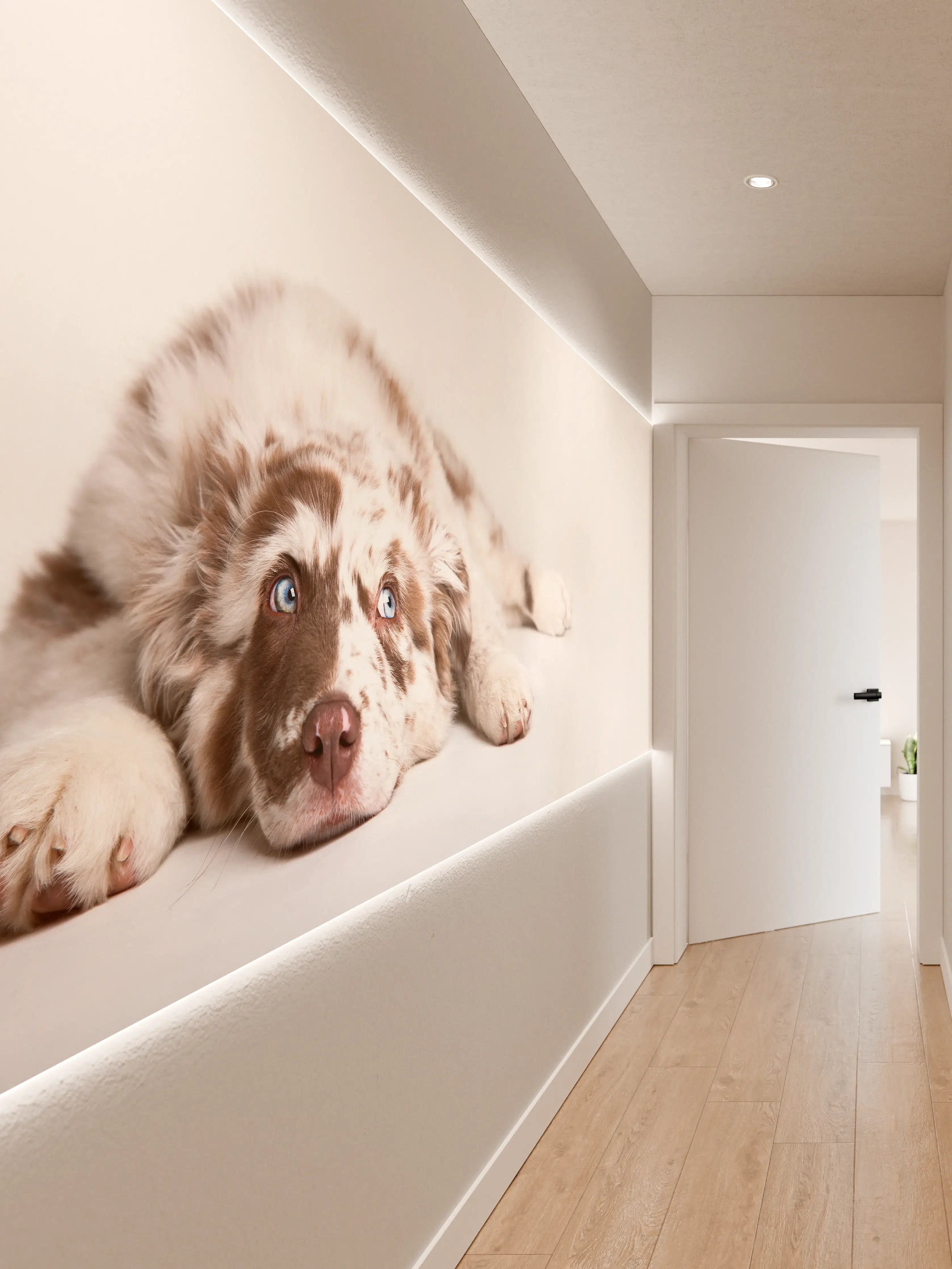 Wandverkleidung Flur - Hunde Portrait - Australian Shepherd